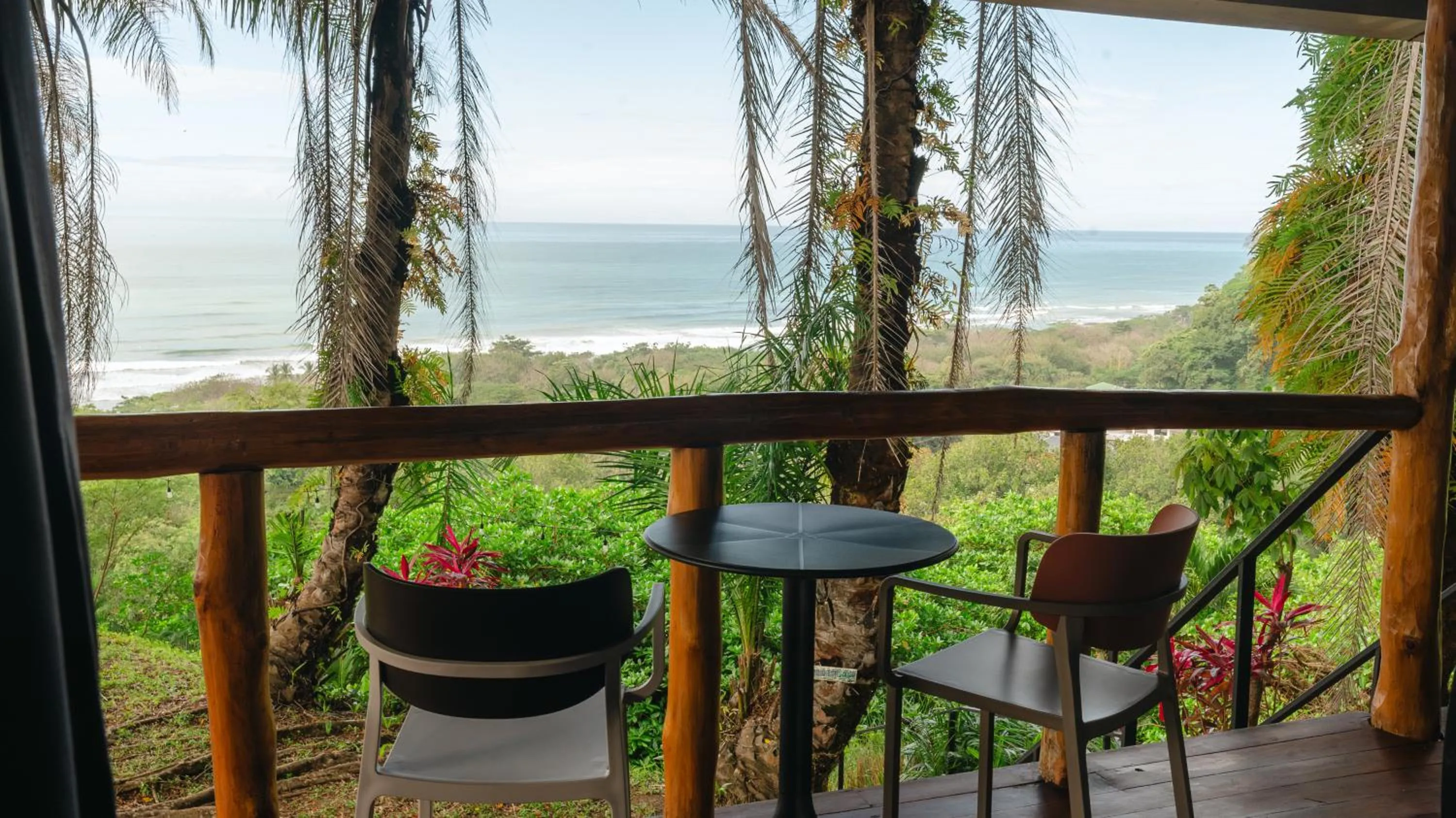 Natural landscape in Hotel Buenos Aires