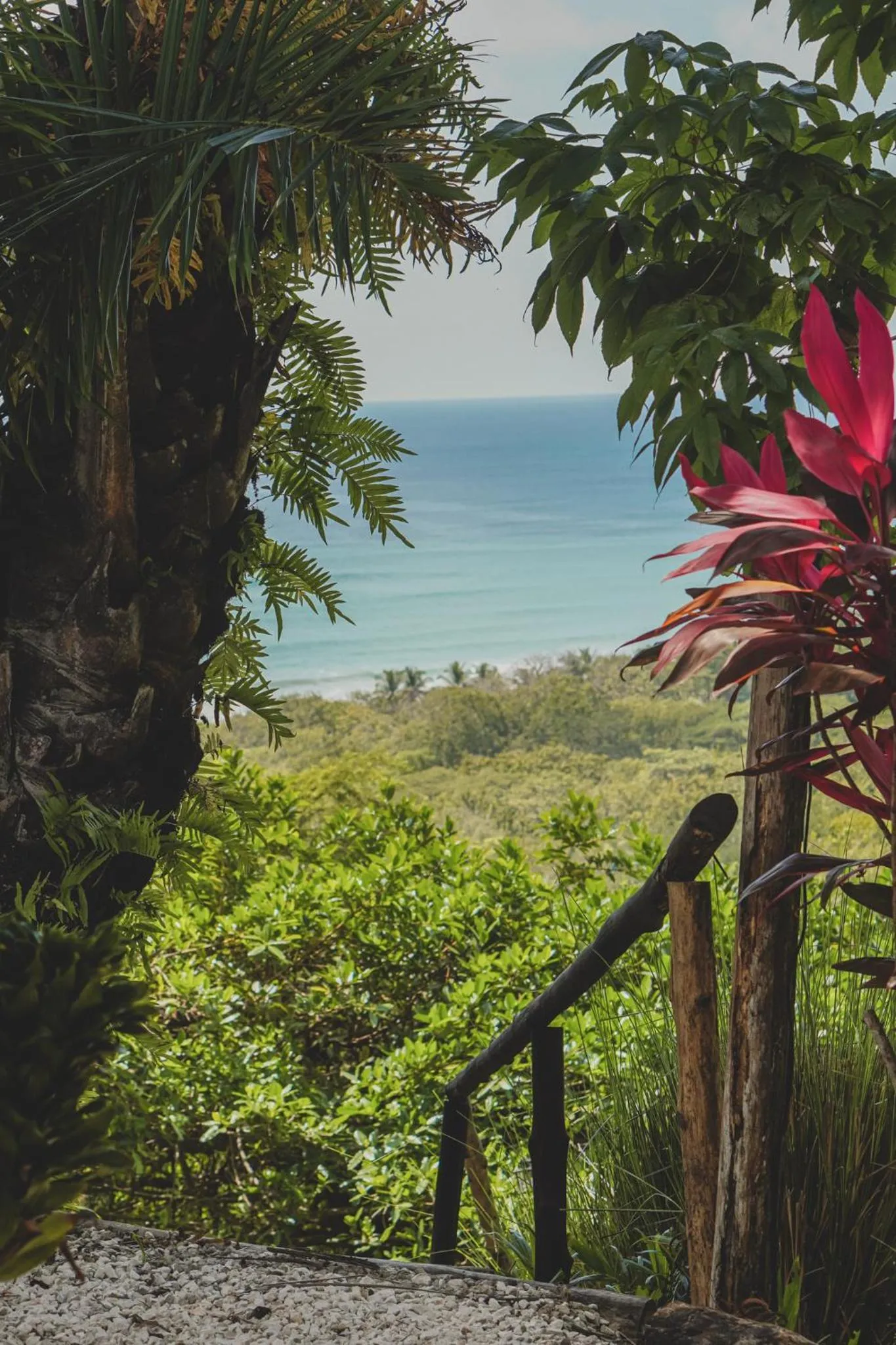 Natural landscape in Hotel Buenos Aires
