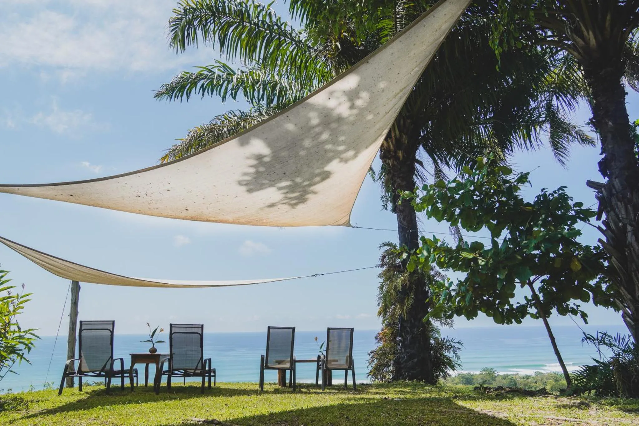 Natural landscape in Hotel Buenos Aires