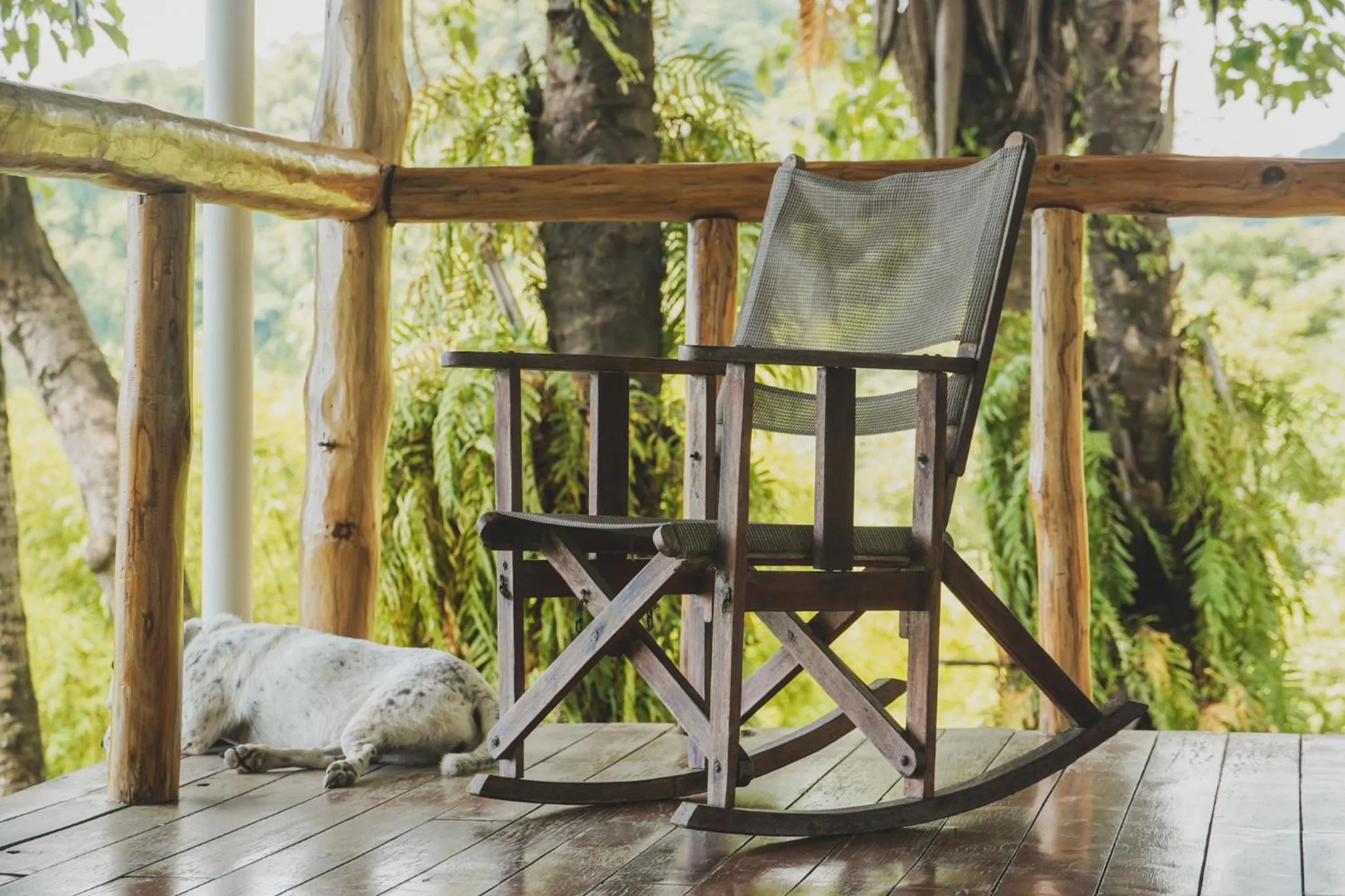 Natural landscape in Hotel Buenos Aires