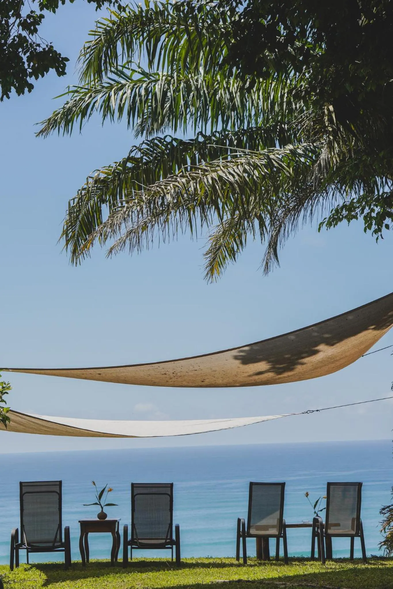 Natural landscape in Hotel Buenos Aires