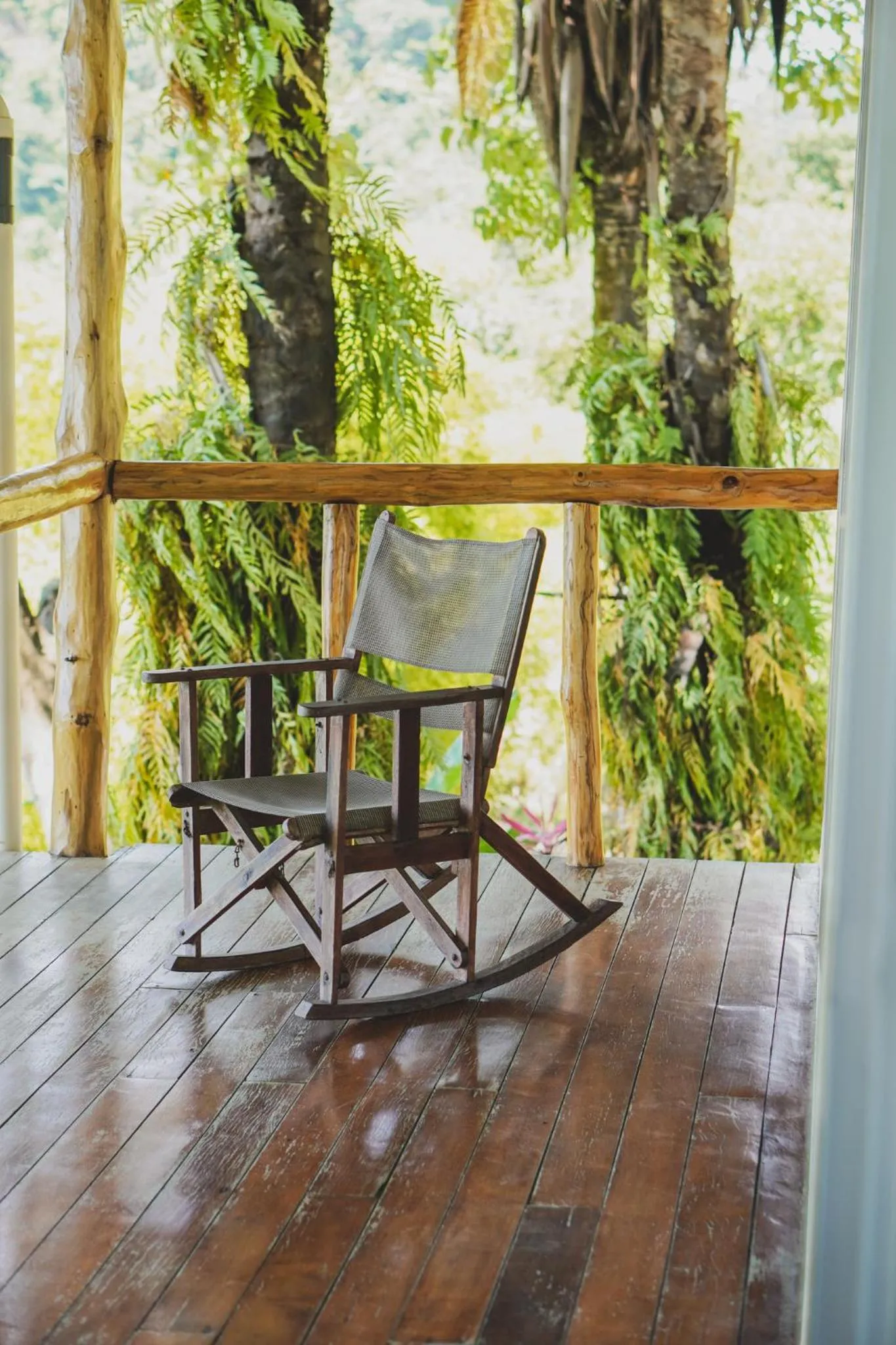 Balcony/Terrace in Hotel Buenos Aires