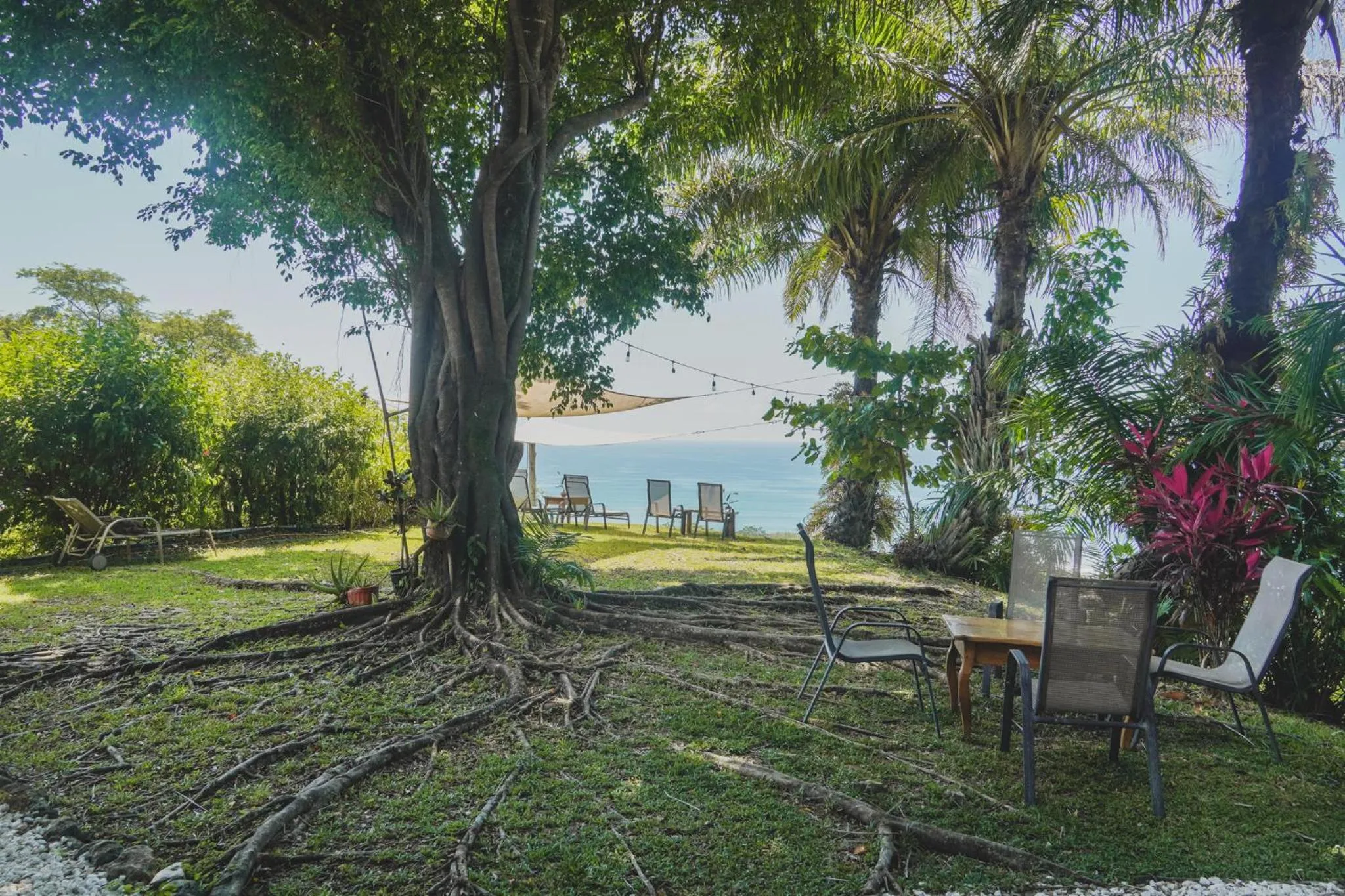 Natural landscape in Hotel Buenos Aires