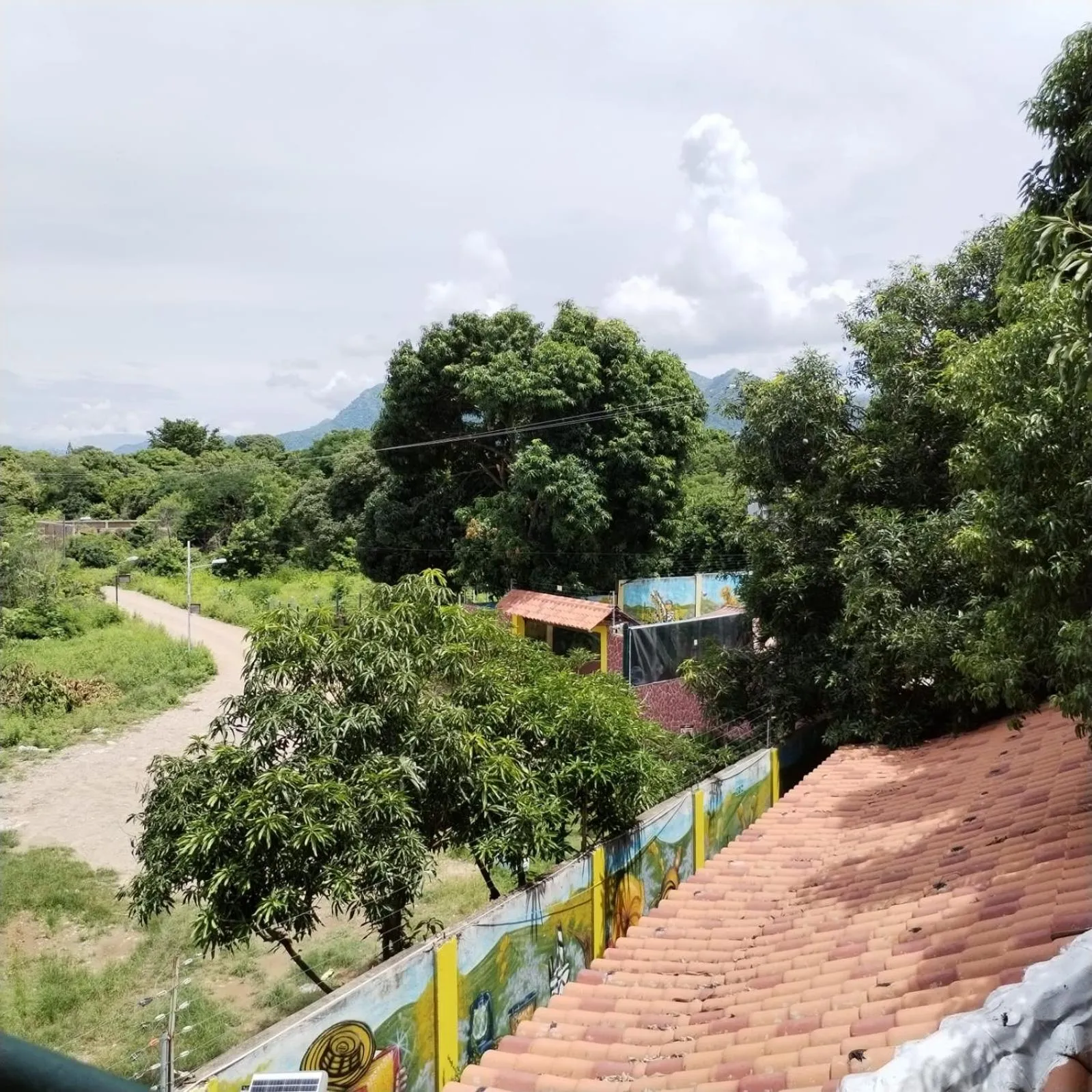 Natural landscape in Hotel El Bosque Valledupar