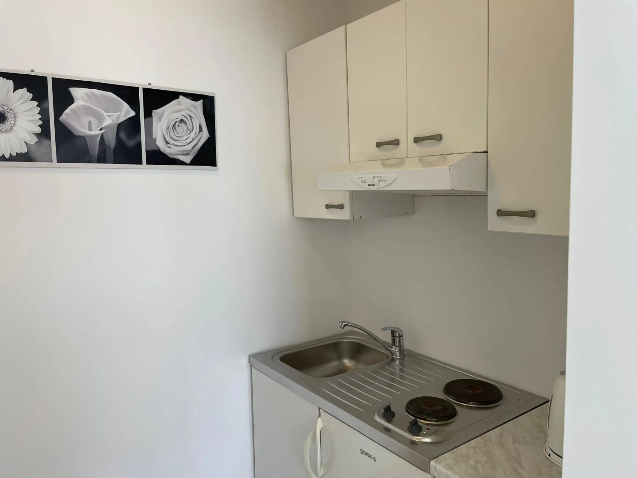 Kitchen or kitchenette in Villa Katarina Dubrovnik