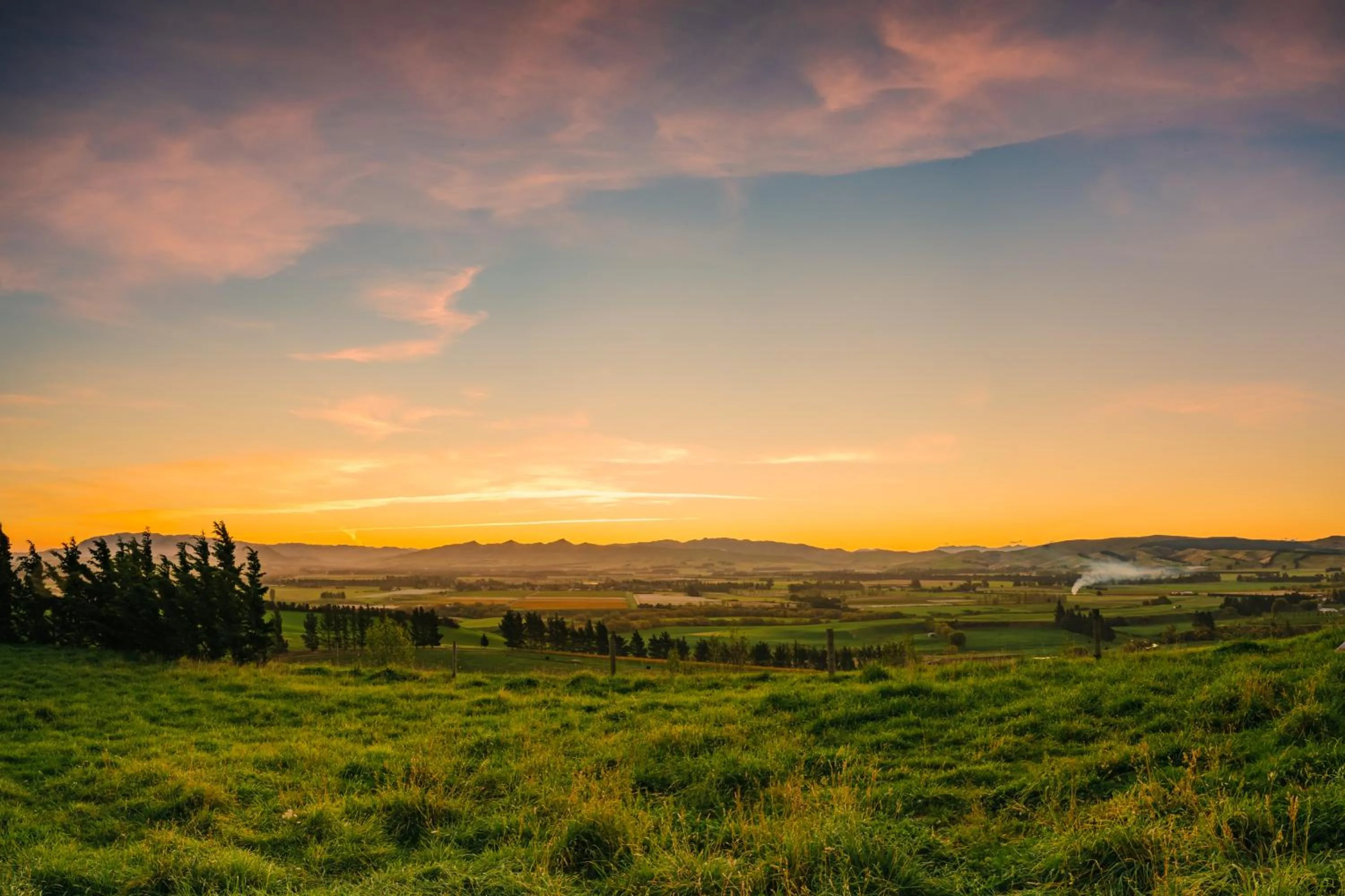 Greystone PurePod