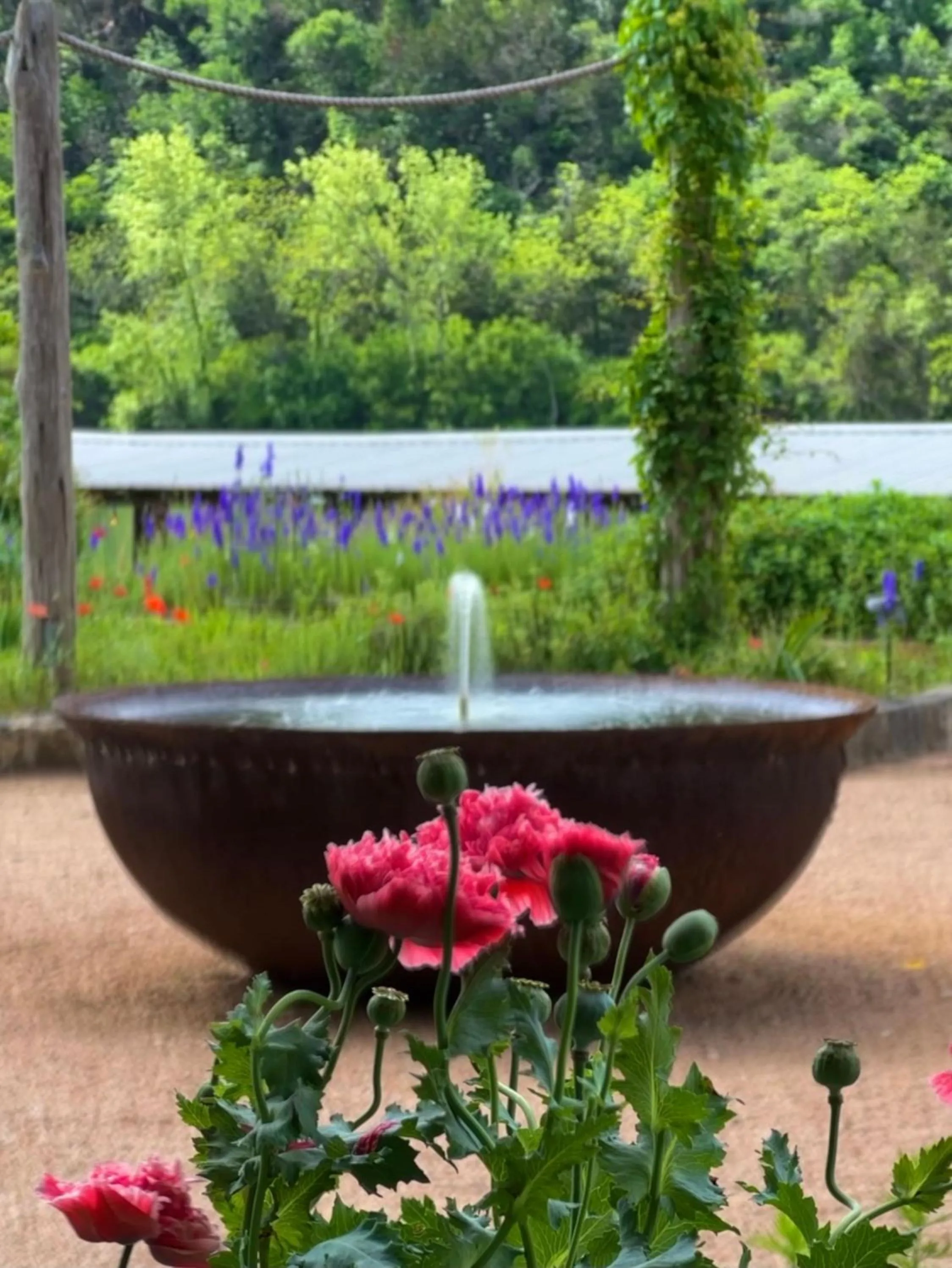 Spring in Lake Austin Spa Resort - All Inclusive