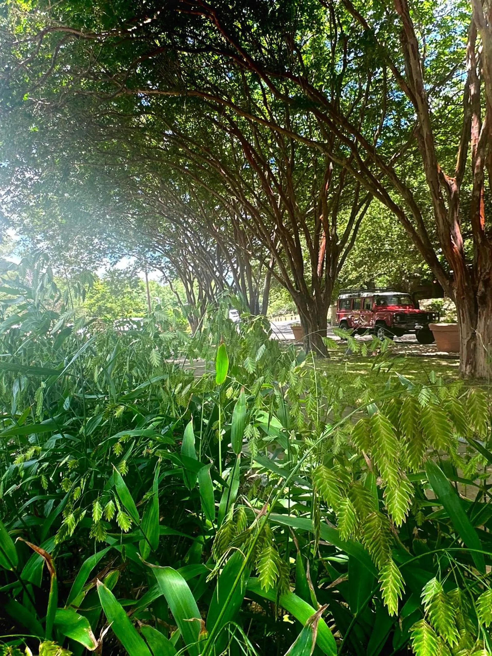 Lake Austin Spa Resort - All Inclusive