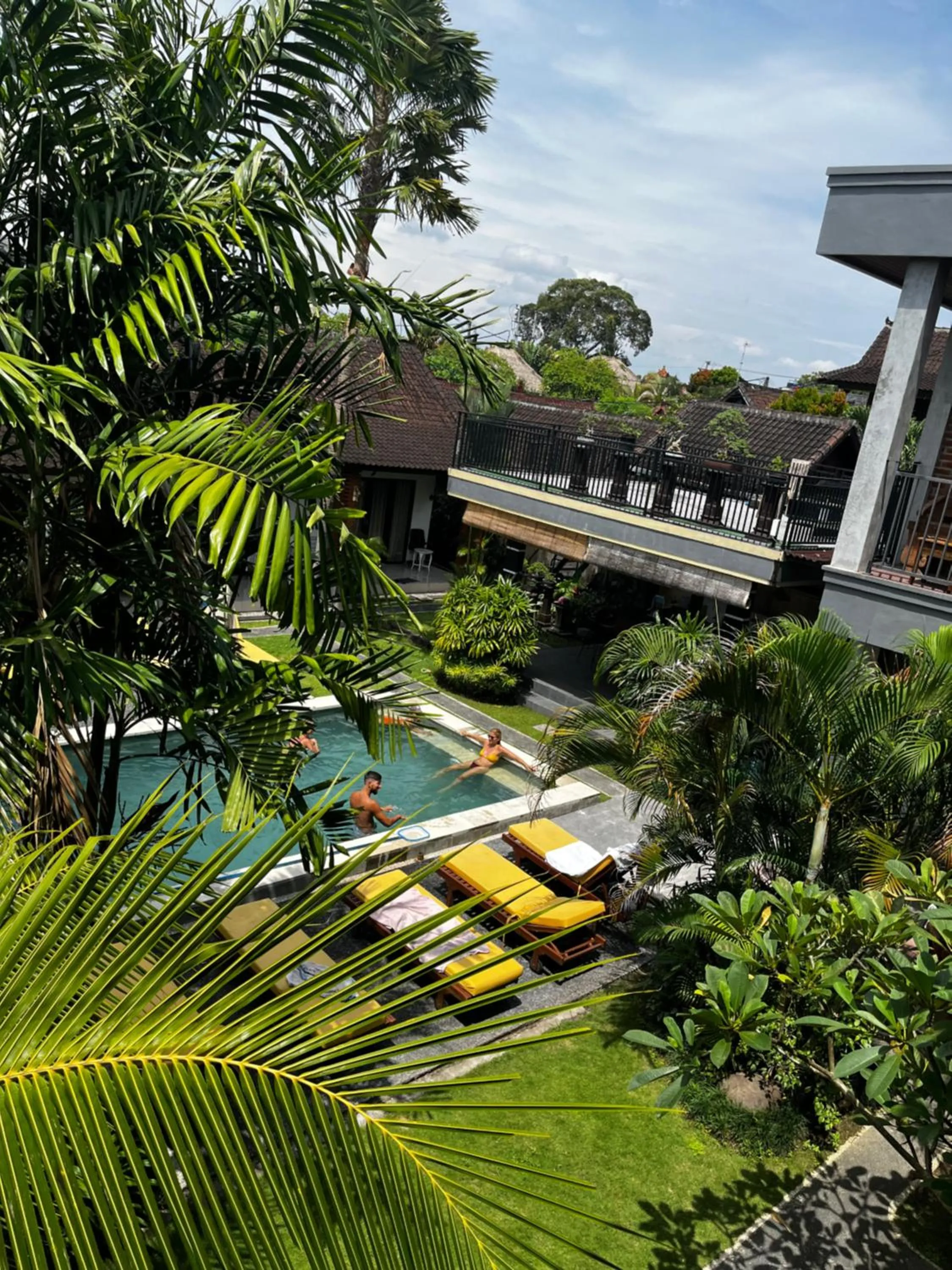 Pool view in Lemon Guest House