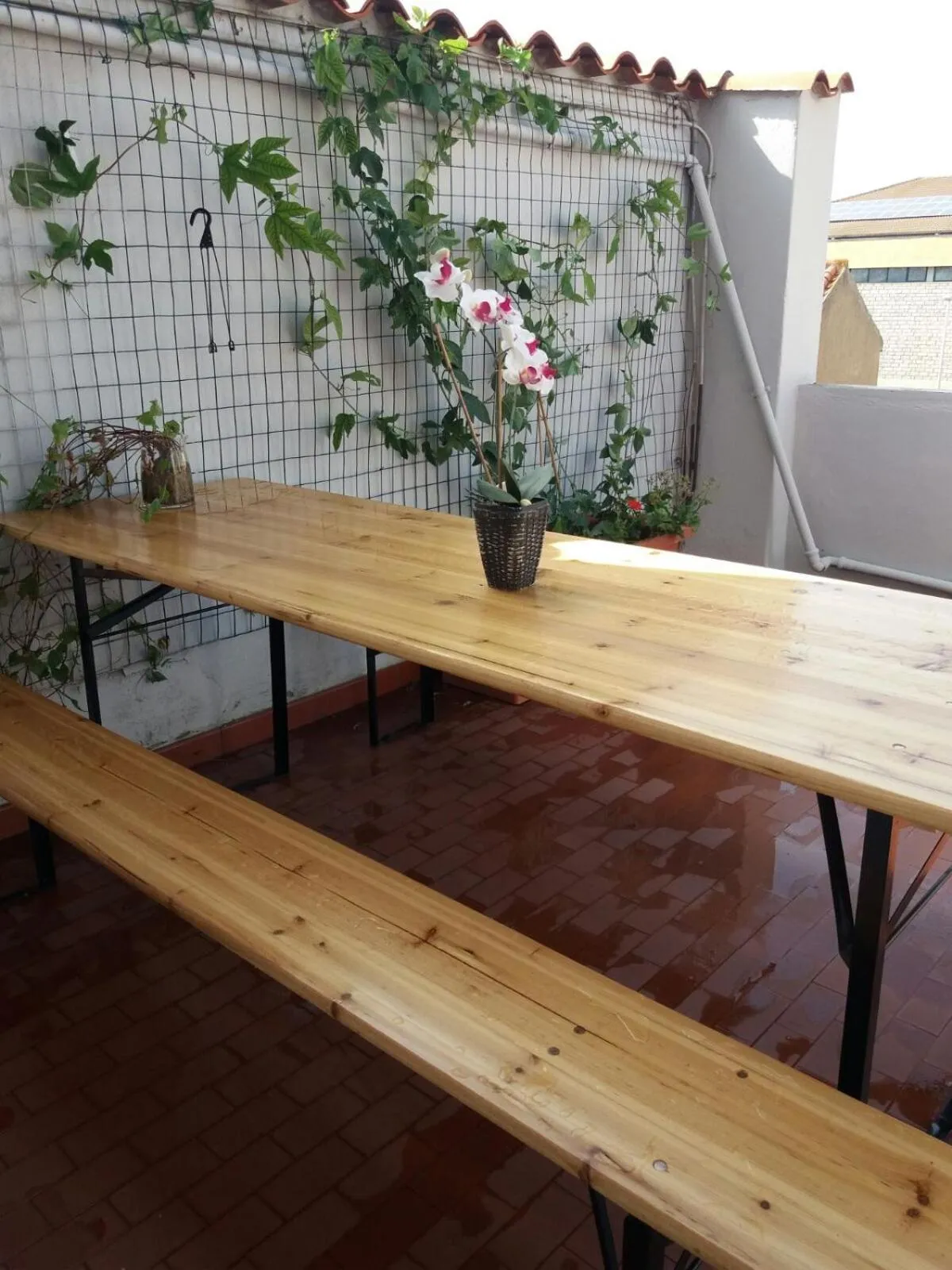 Property building in Appartamento Casa Ilaria