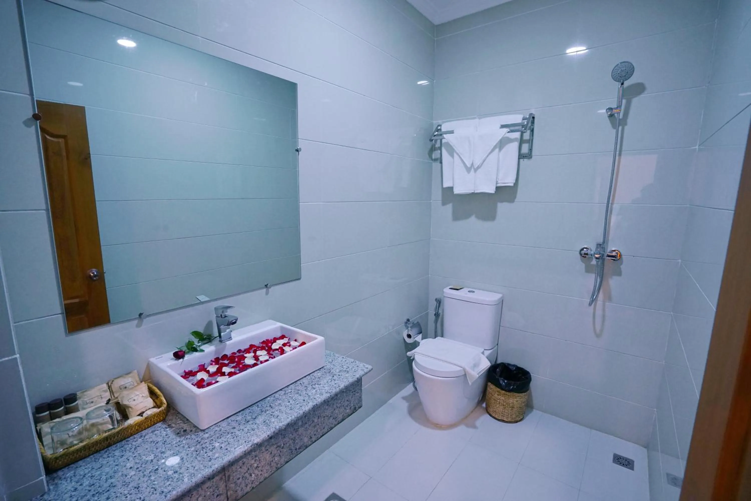 Shower in The Hotel Nova