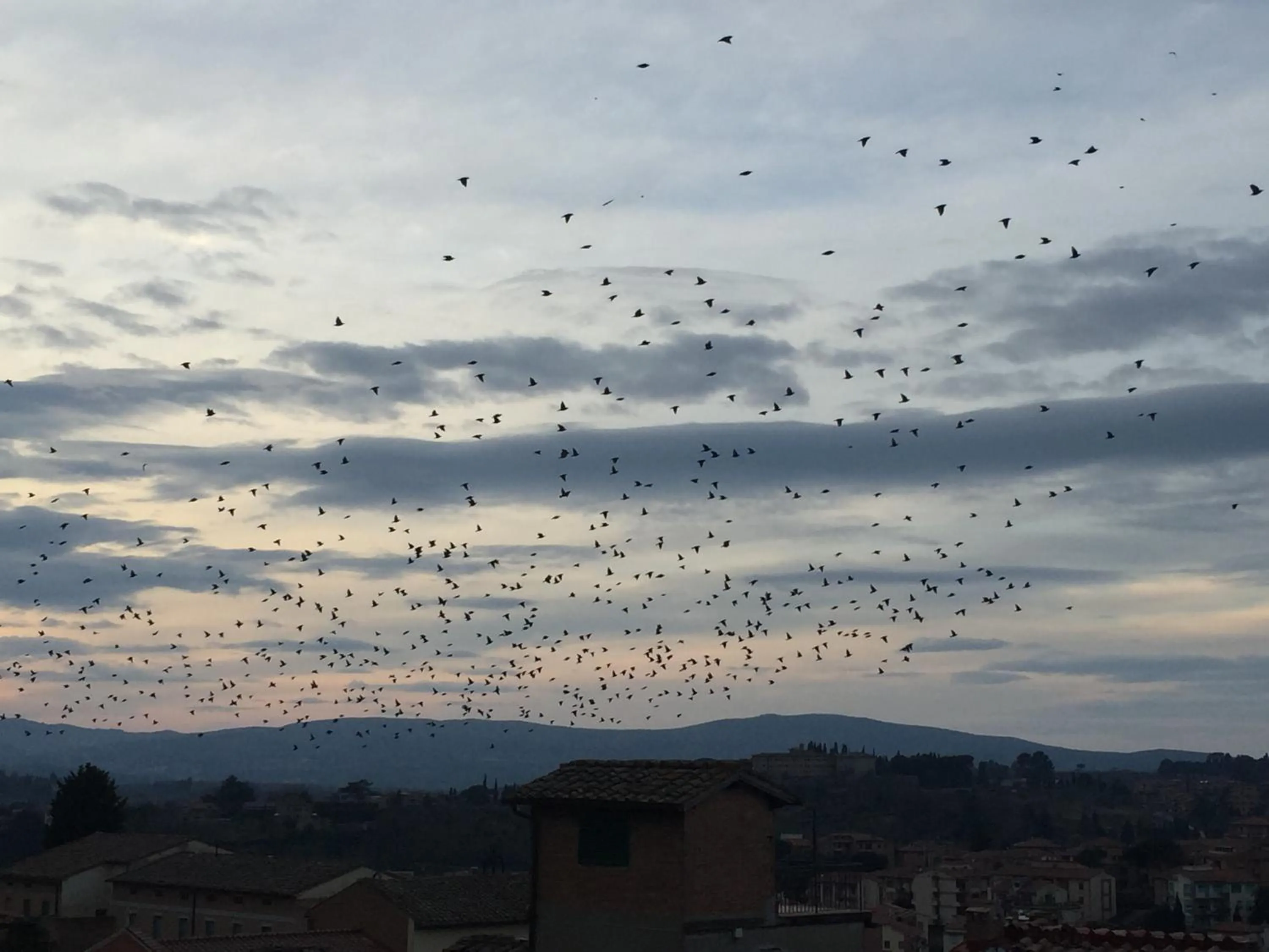 City view in B&B il Barbero