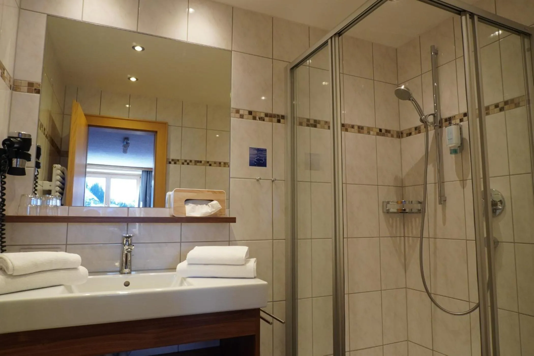Bathroom in Pension Edelweiss