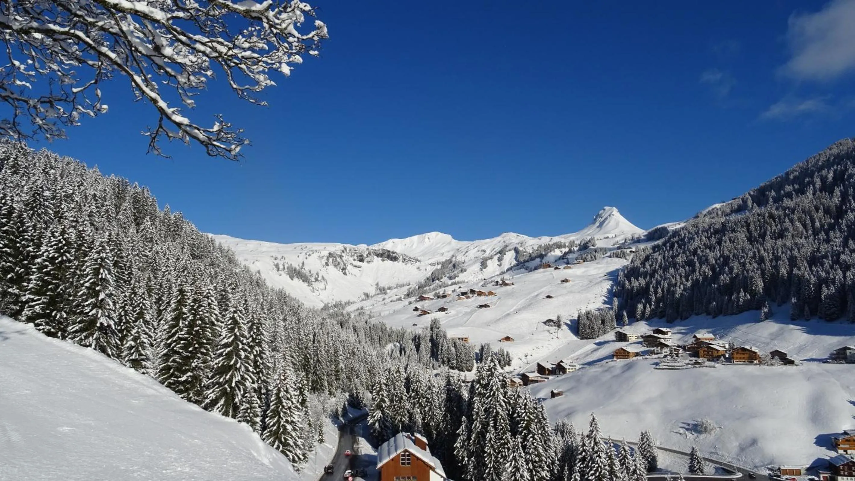 Winter in Pension Edelweiss