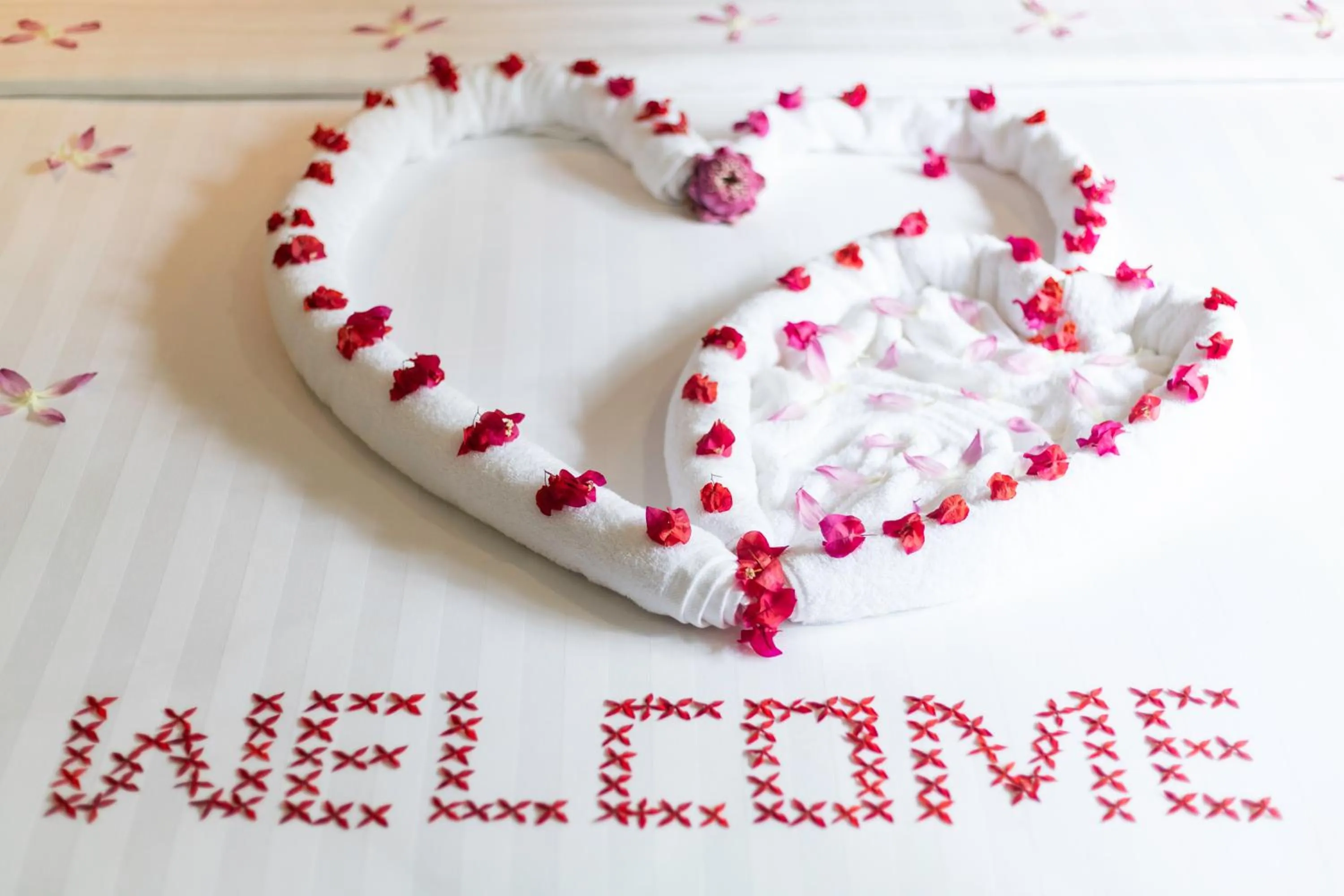 Other in Peak Elite Boutique