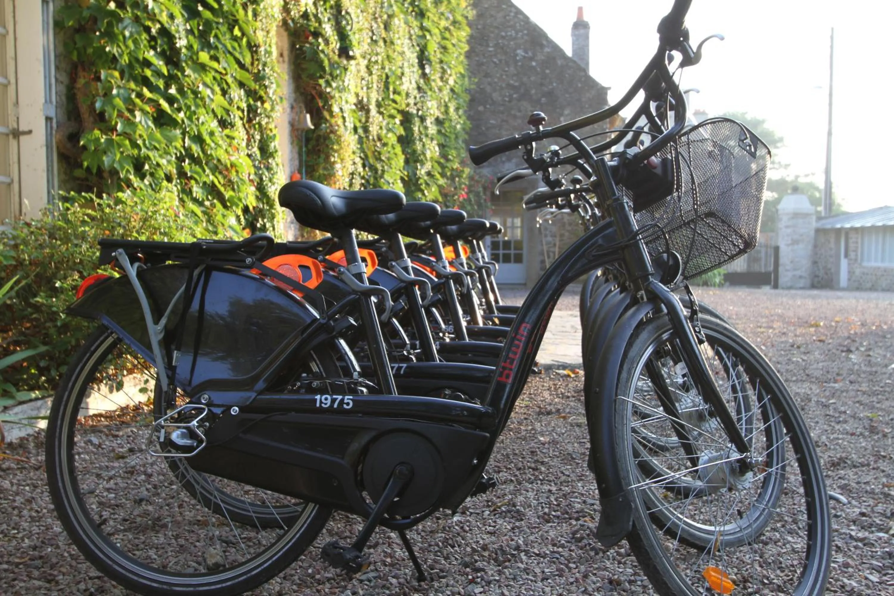 Cycling in La Haute Flourie - bed and breakfast -chambres d'hôtes