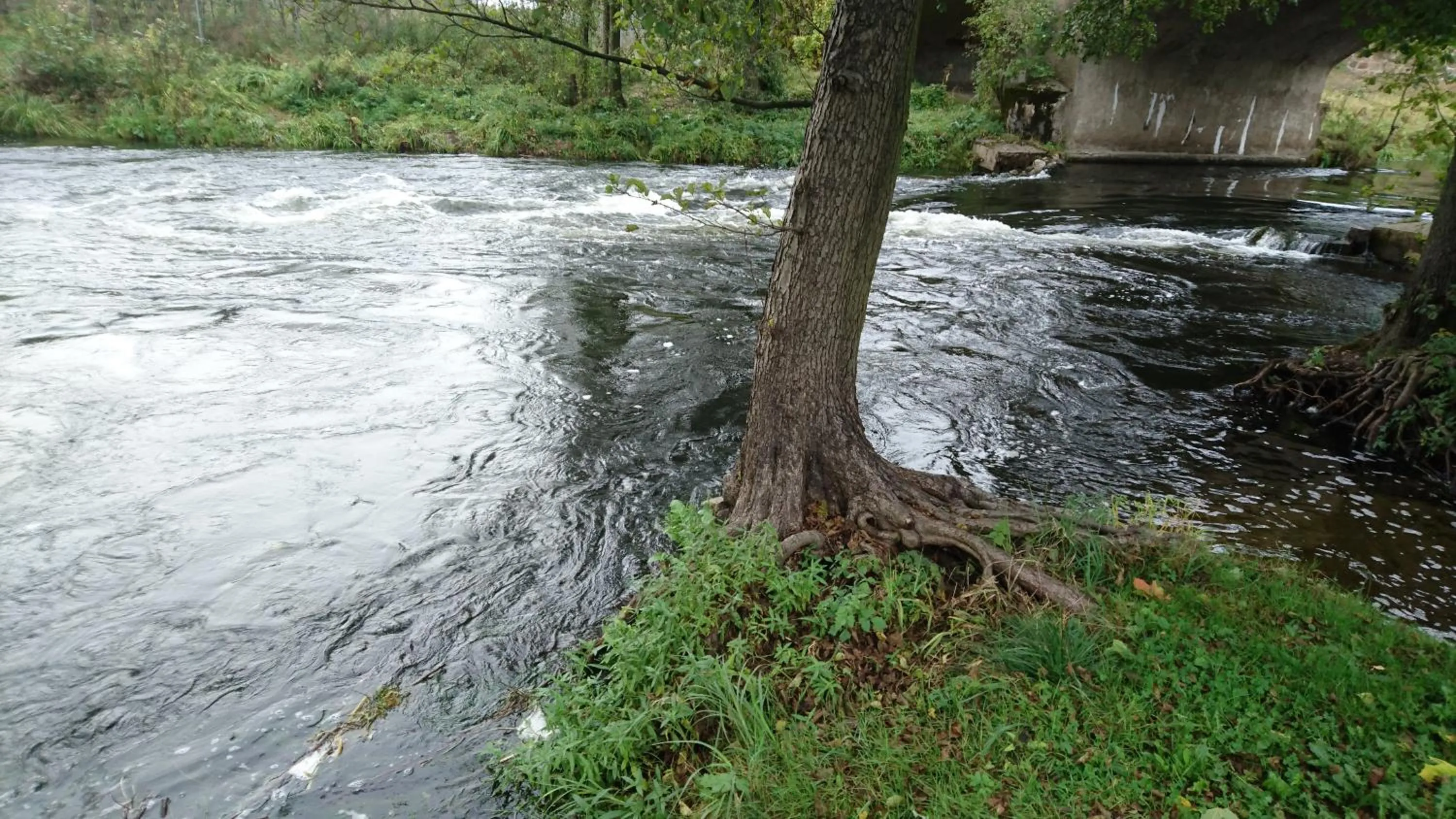 Neighbourhood in FitnessFun