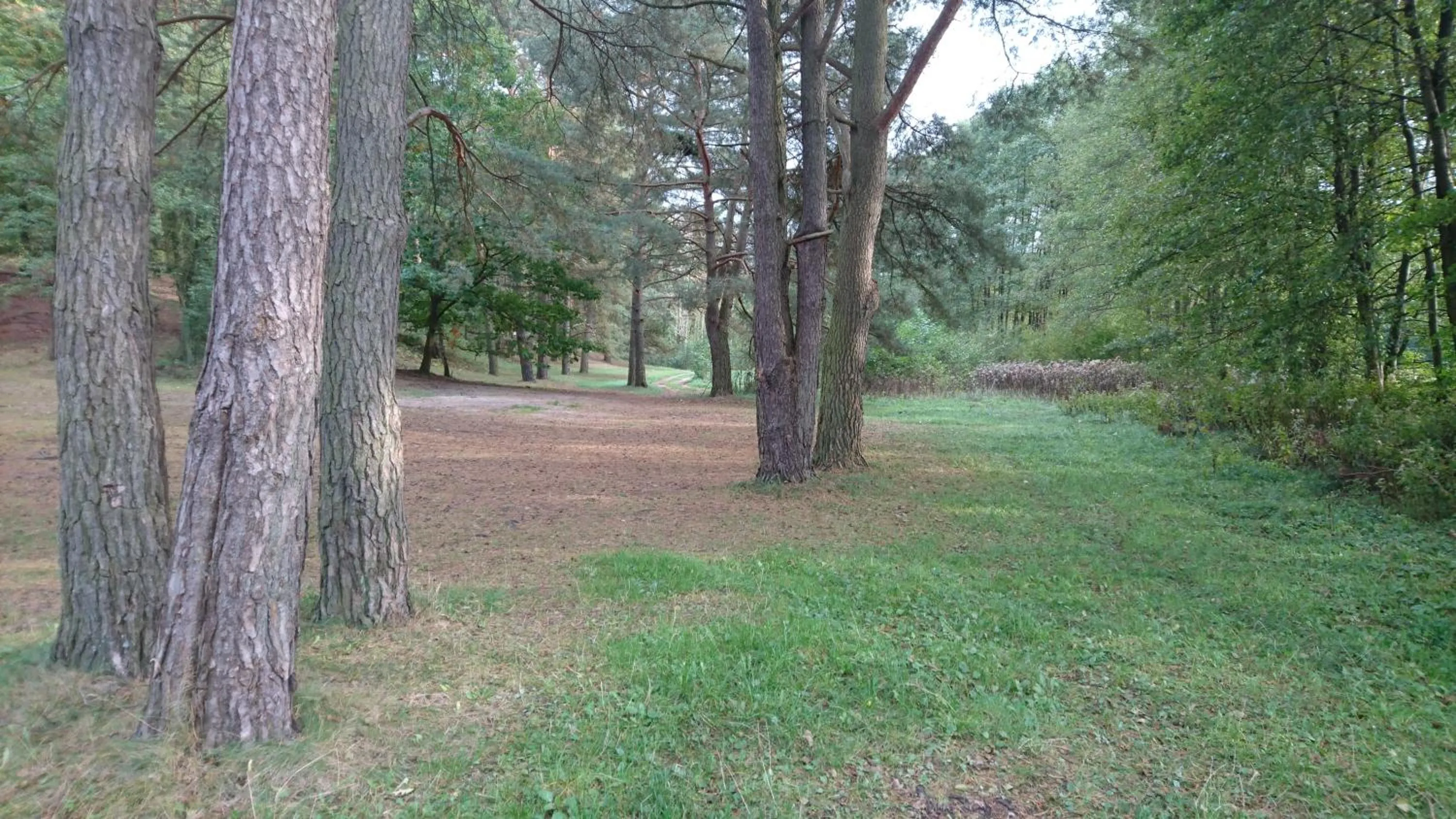 Neighbourhood in FitnessFun