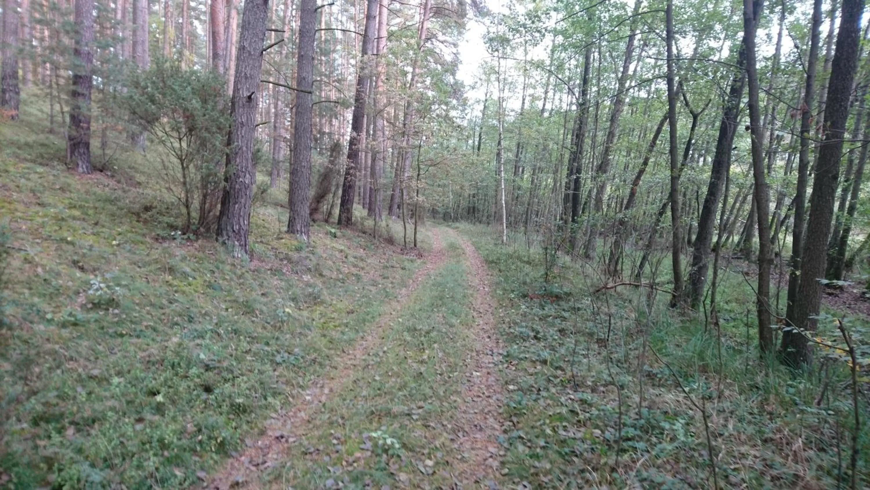 Neighbourhood in FitnessFun