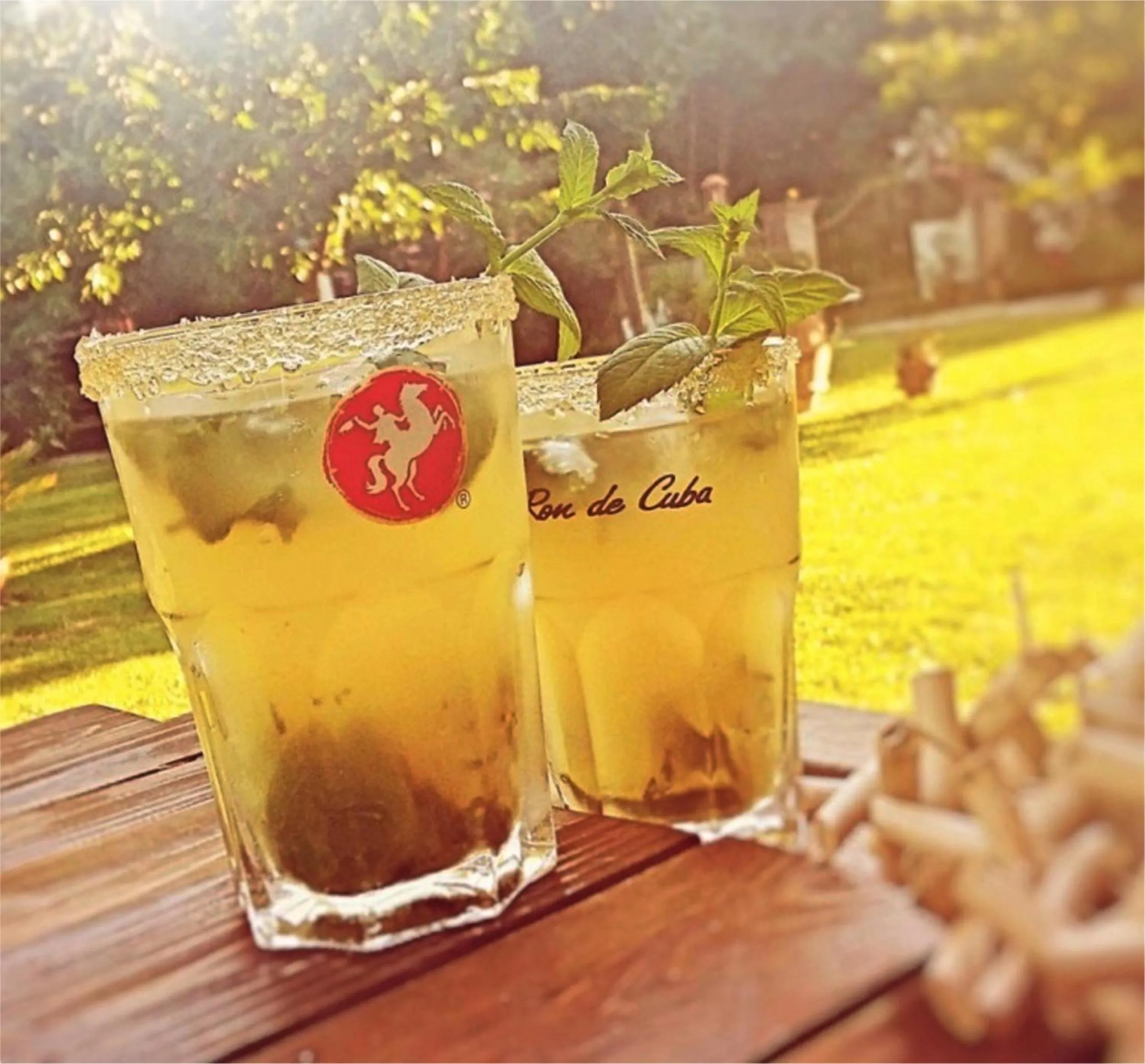 Garden in Casal di Peppe B&B