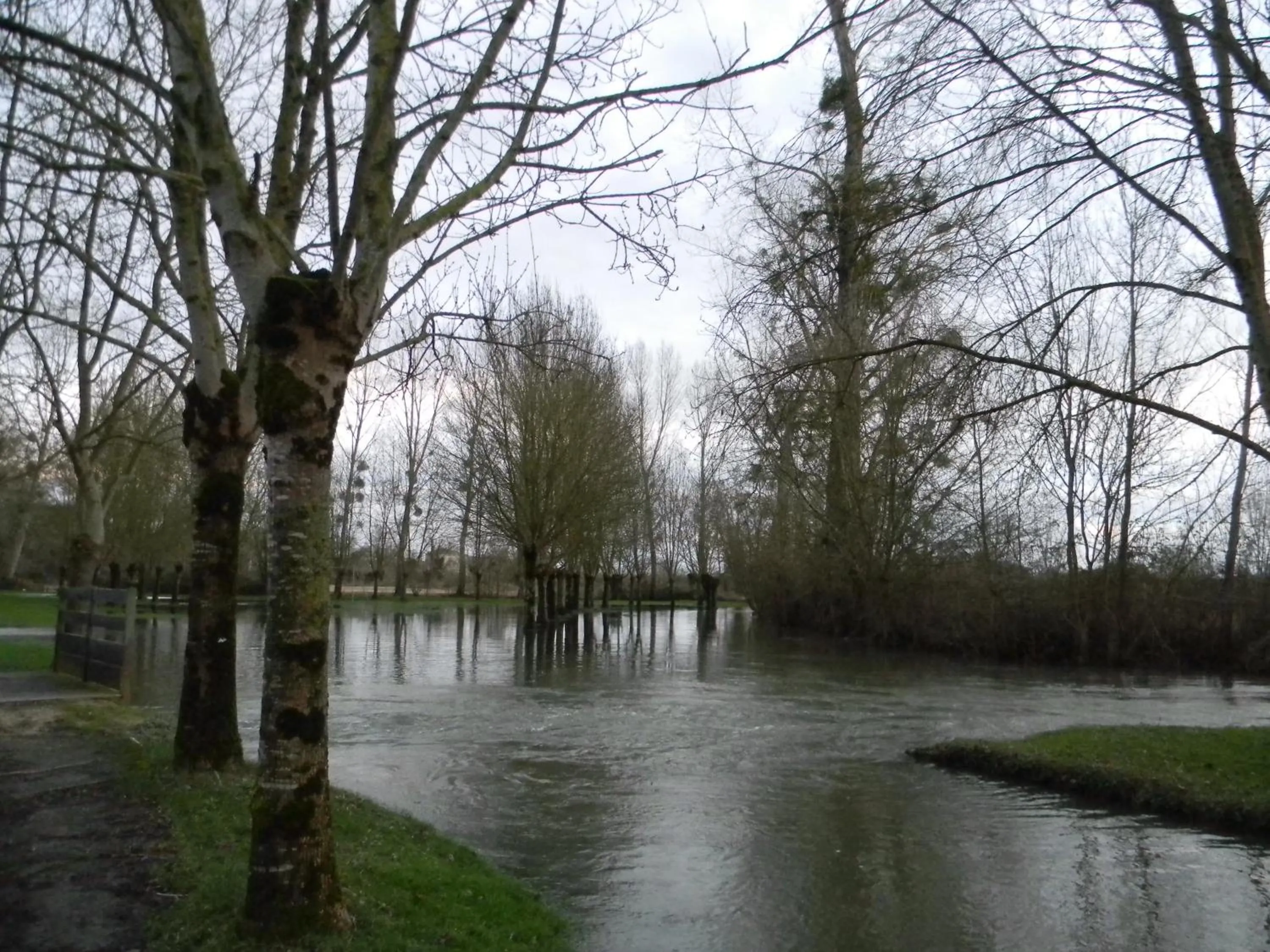 Natural landscape in Le Logis d'ANTIGNY