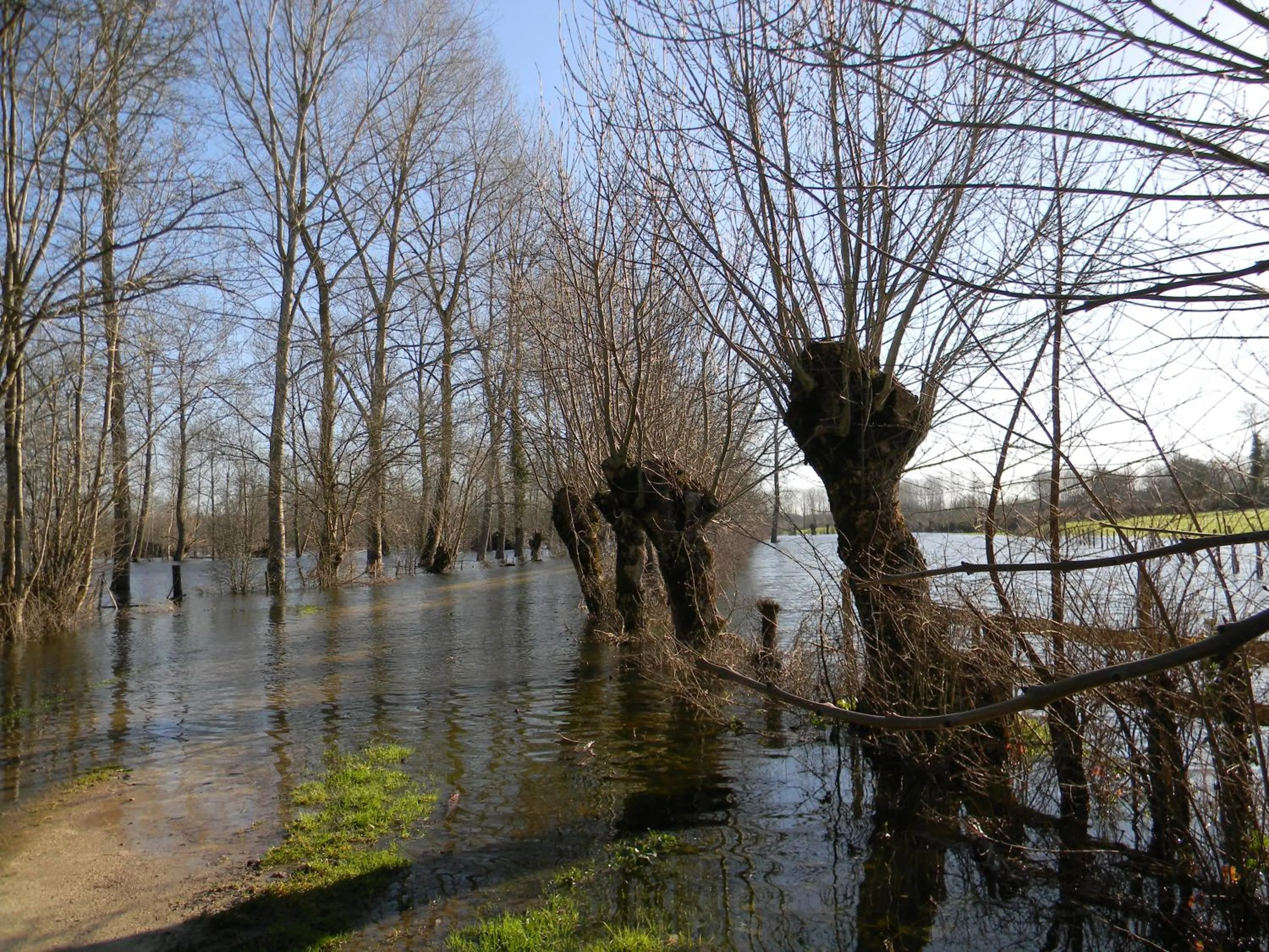 Natural landscape in Le Logis d'ANTIGNY