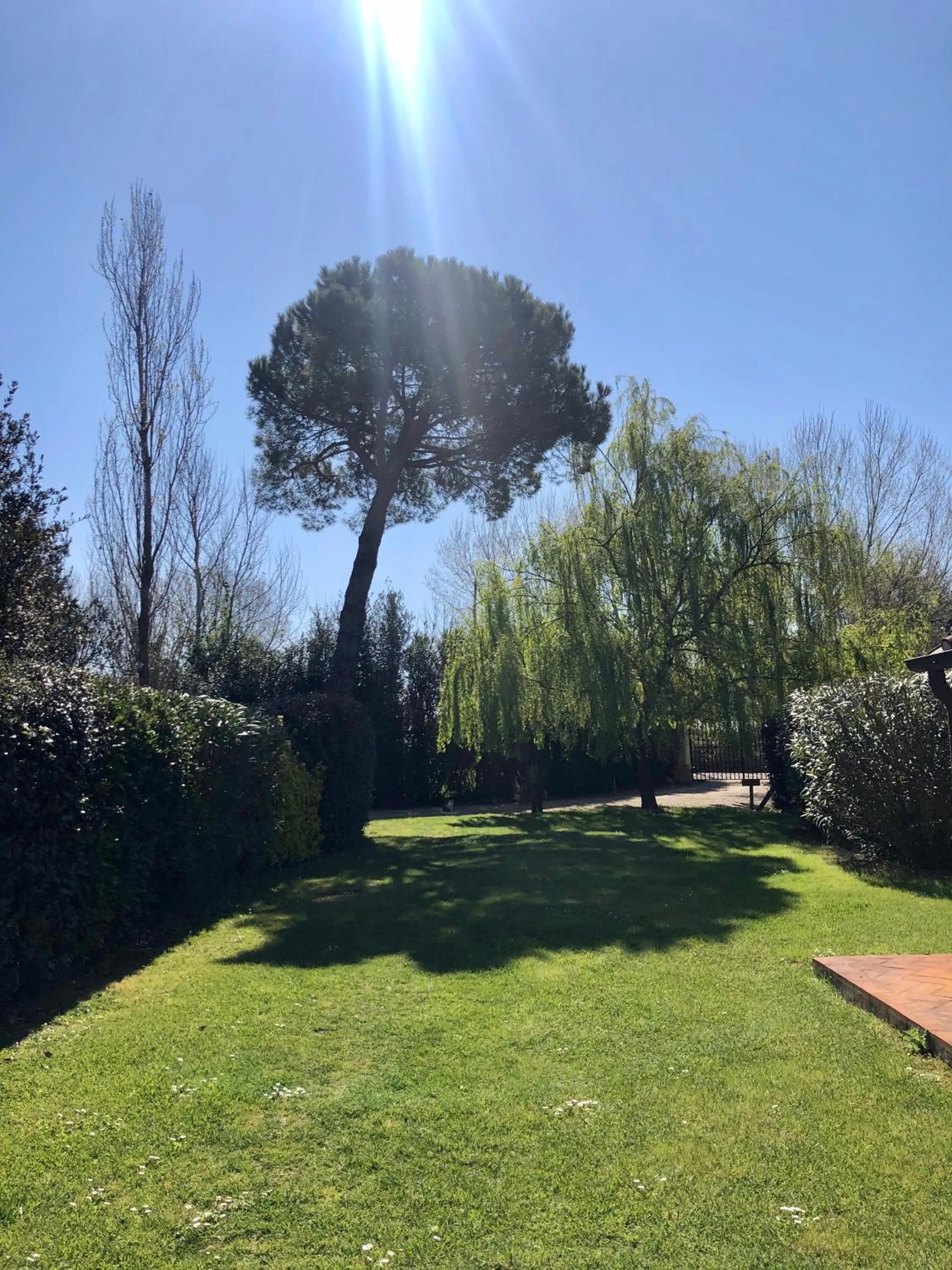 Garden in B&B Borgo di Pratavecchie