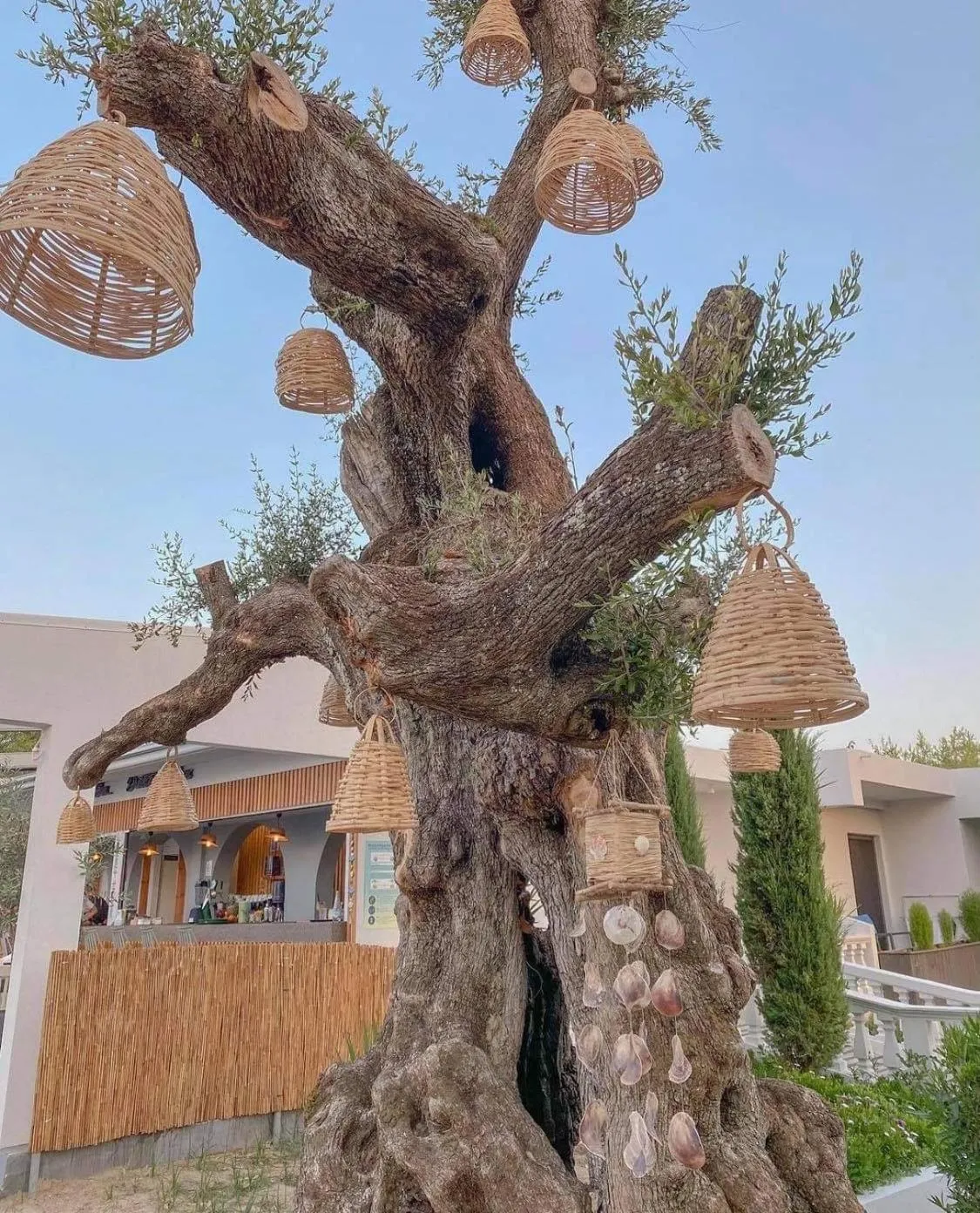 Venus Resort