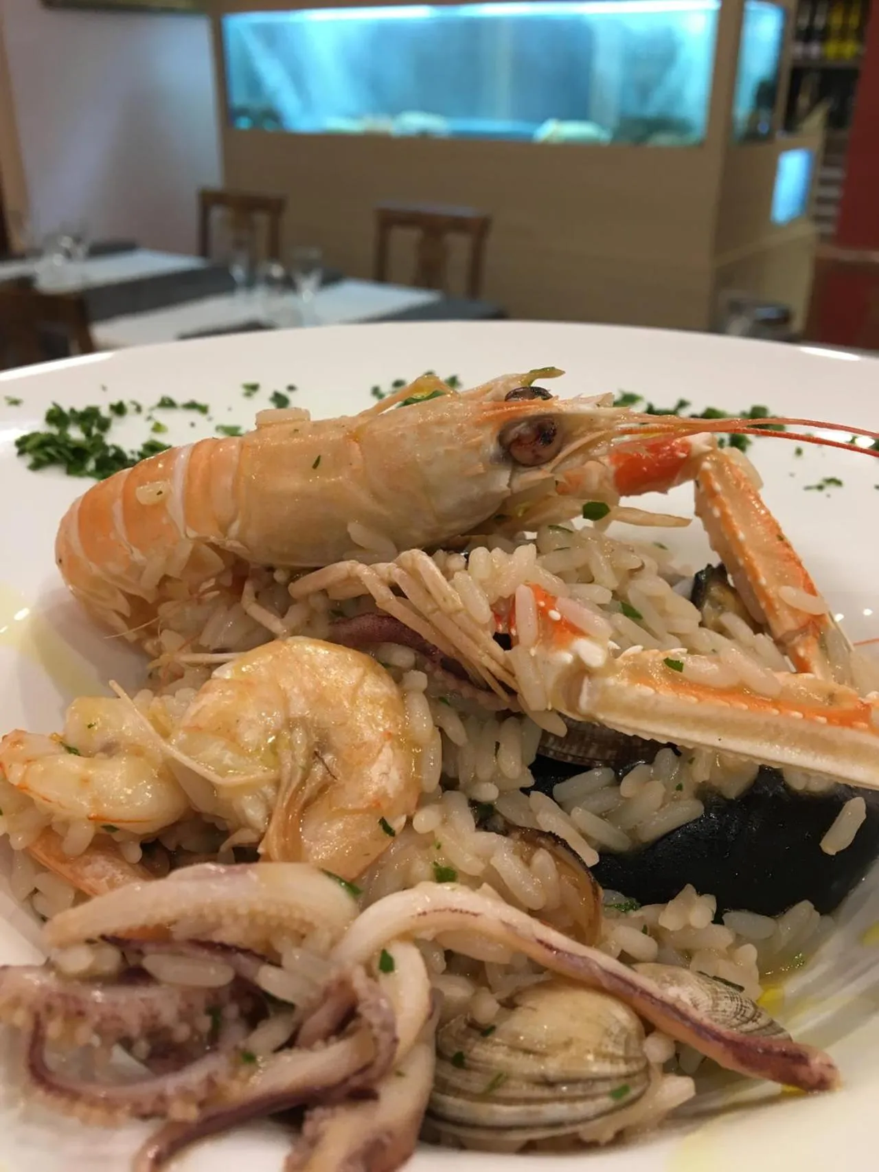 Lunch in Best Western Hotel Imperiale