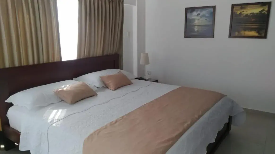 Deluxe Suite - single occupancy in Colon Plaza Hotel Deluxe Suite - single occupancy in Colon Plaza Hotel