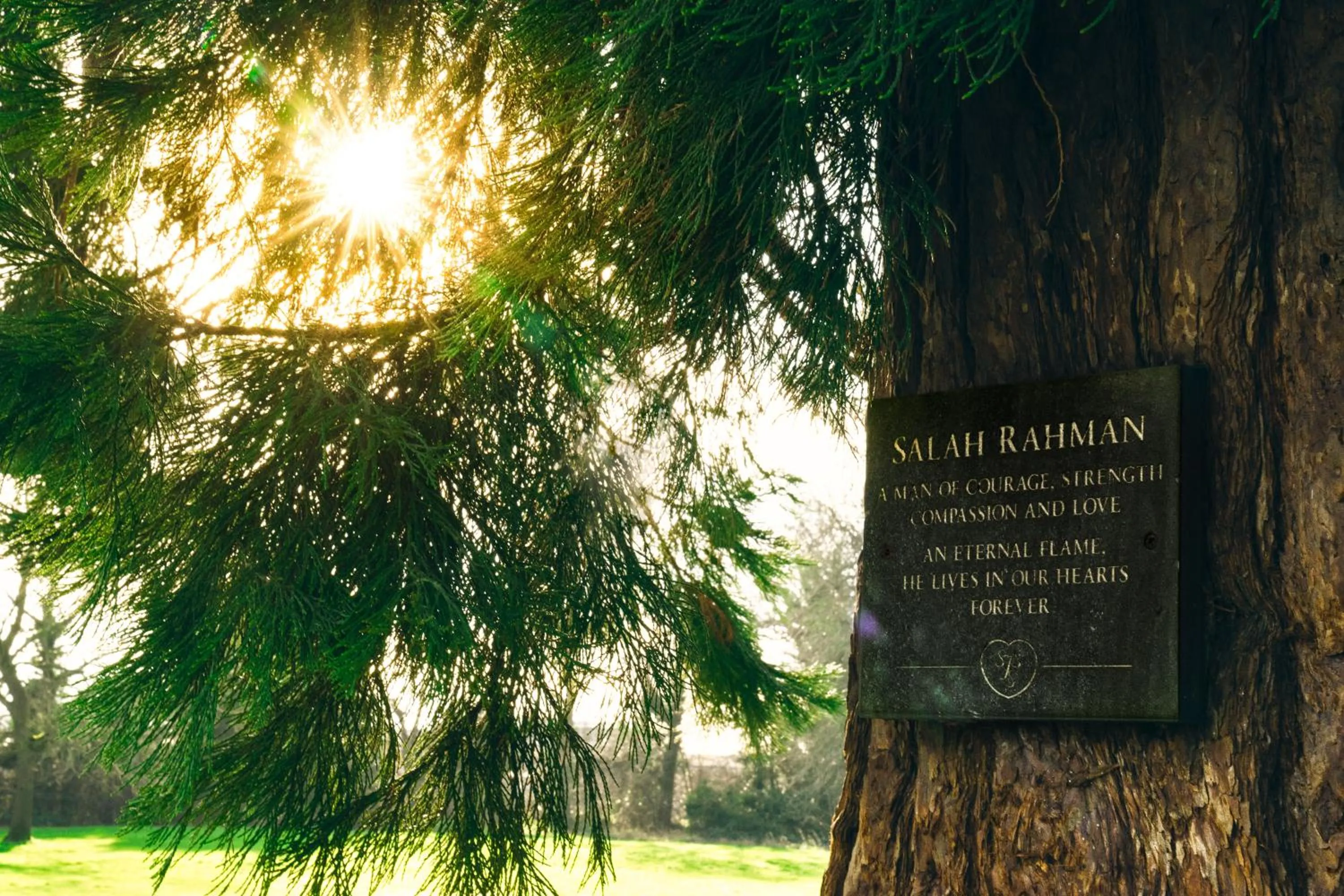 Garden in The Manor at Bickley