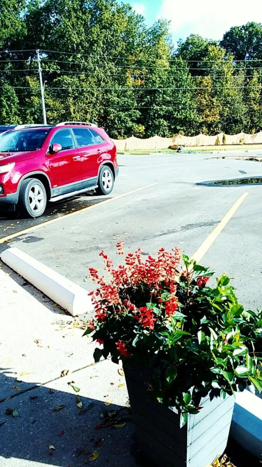 Property building in Leisure Motel