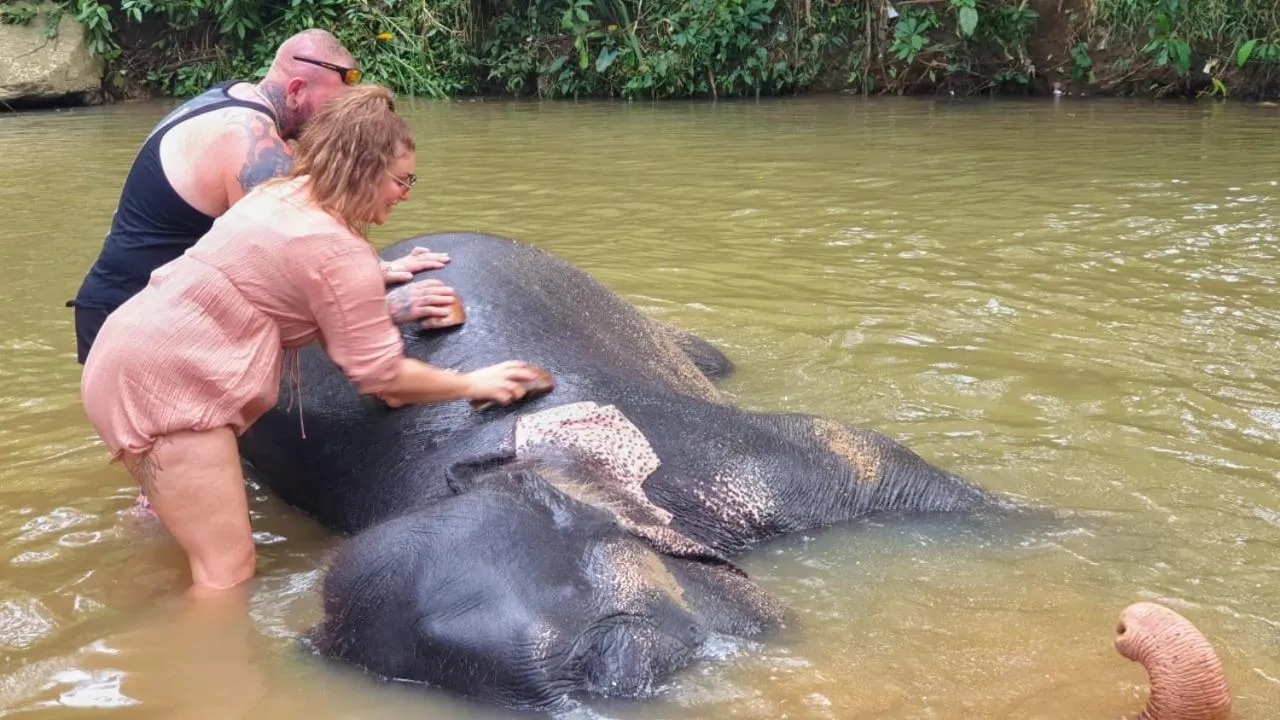 St CLAIRE'S GREEN Negombo Hotel & Hostels