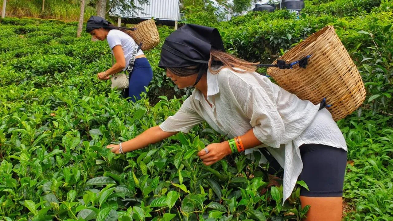 St CLAIRE'S GREEN Negombo Hotel & Hostels