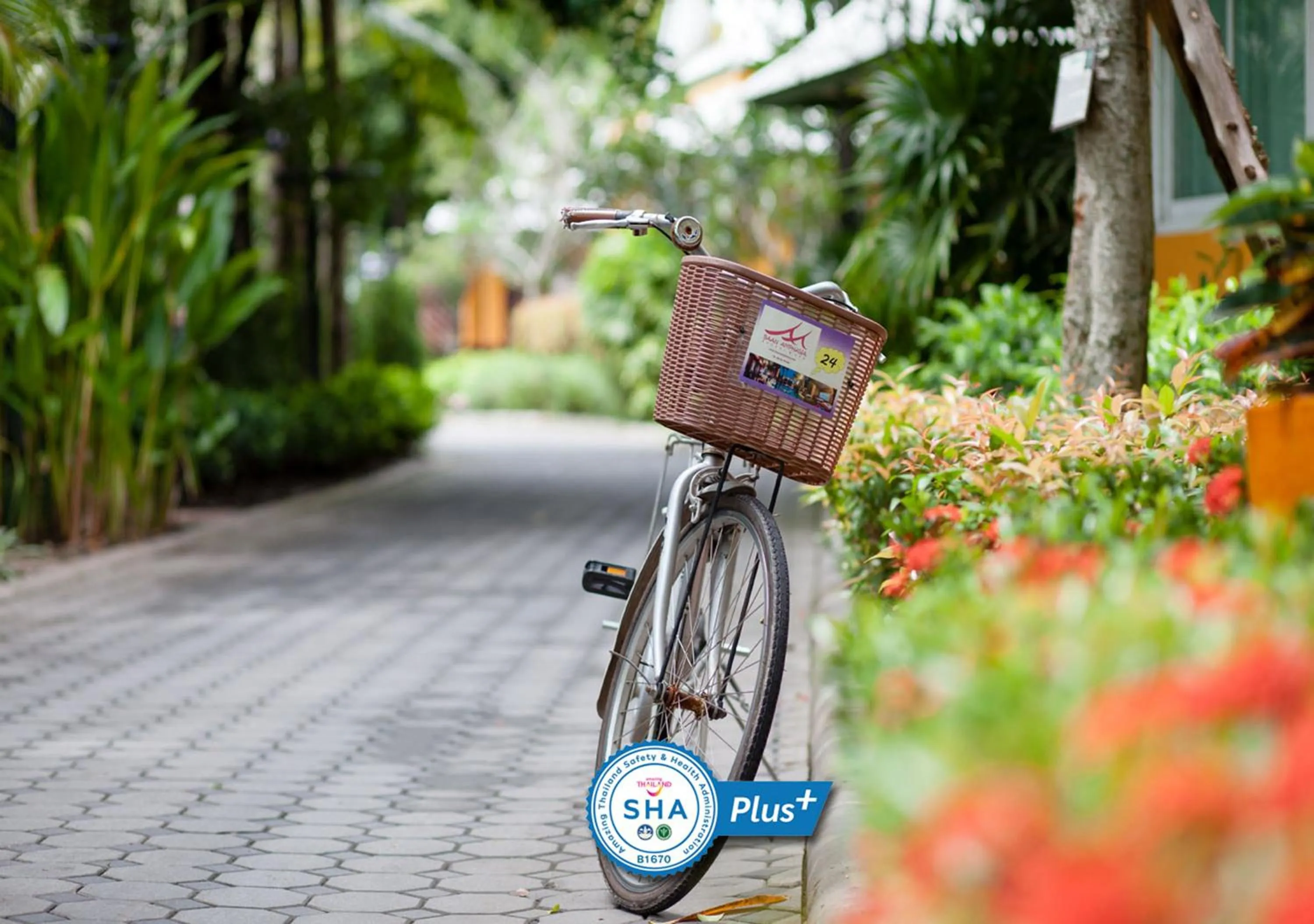 Activities in Baan Amphawa Resort & Spa - SHA Certified