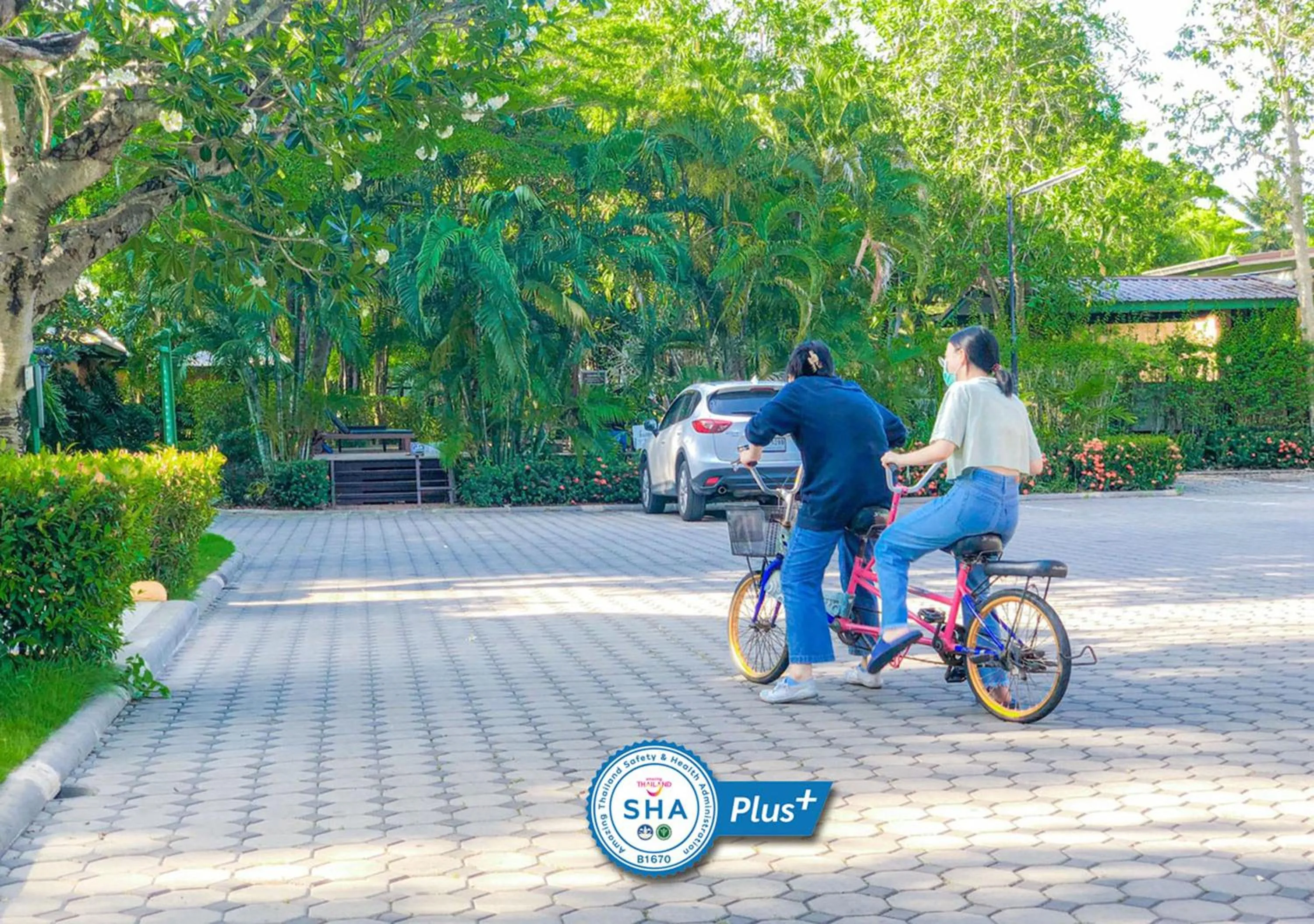 Activities in Baan Amphawa Resort & Spa - SHA Certified