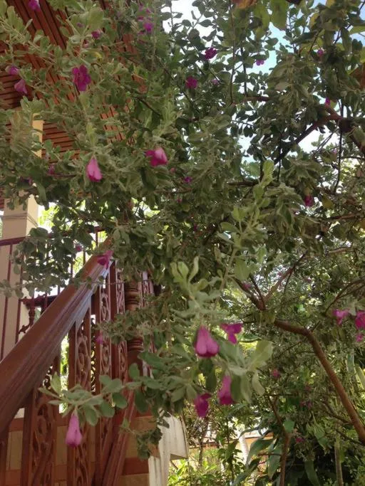 Tropicana Khophagan Resort Hotel