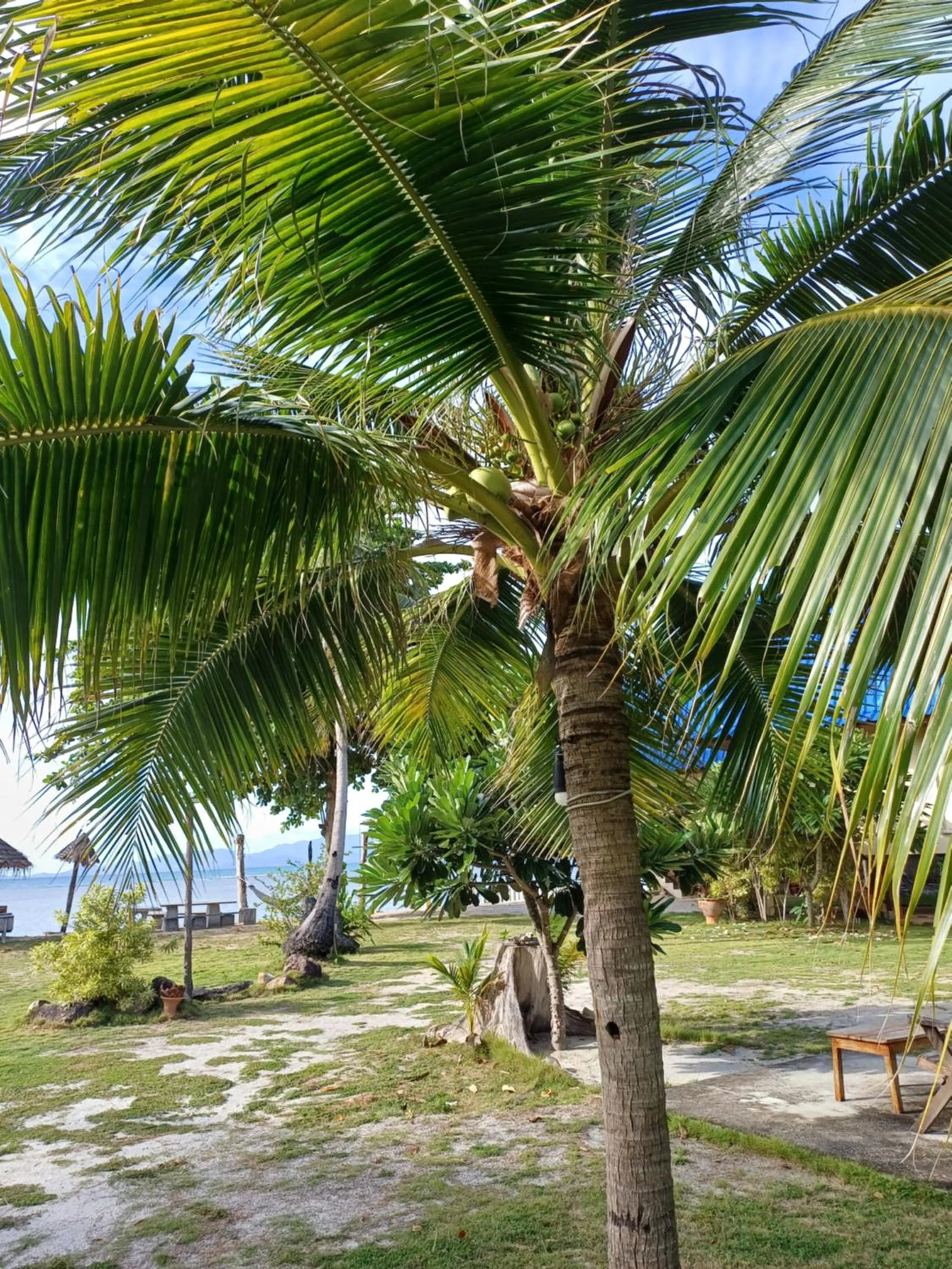 Tropicana Khophagan Resort Hotel