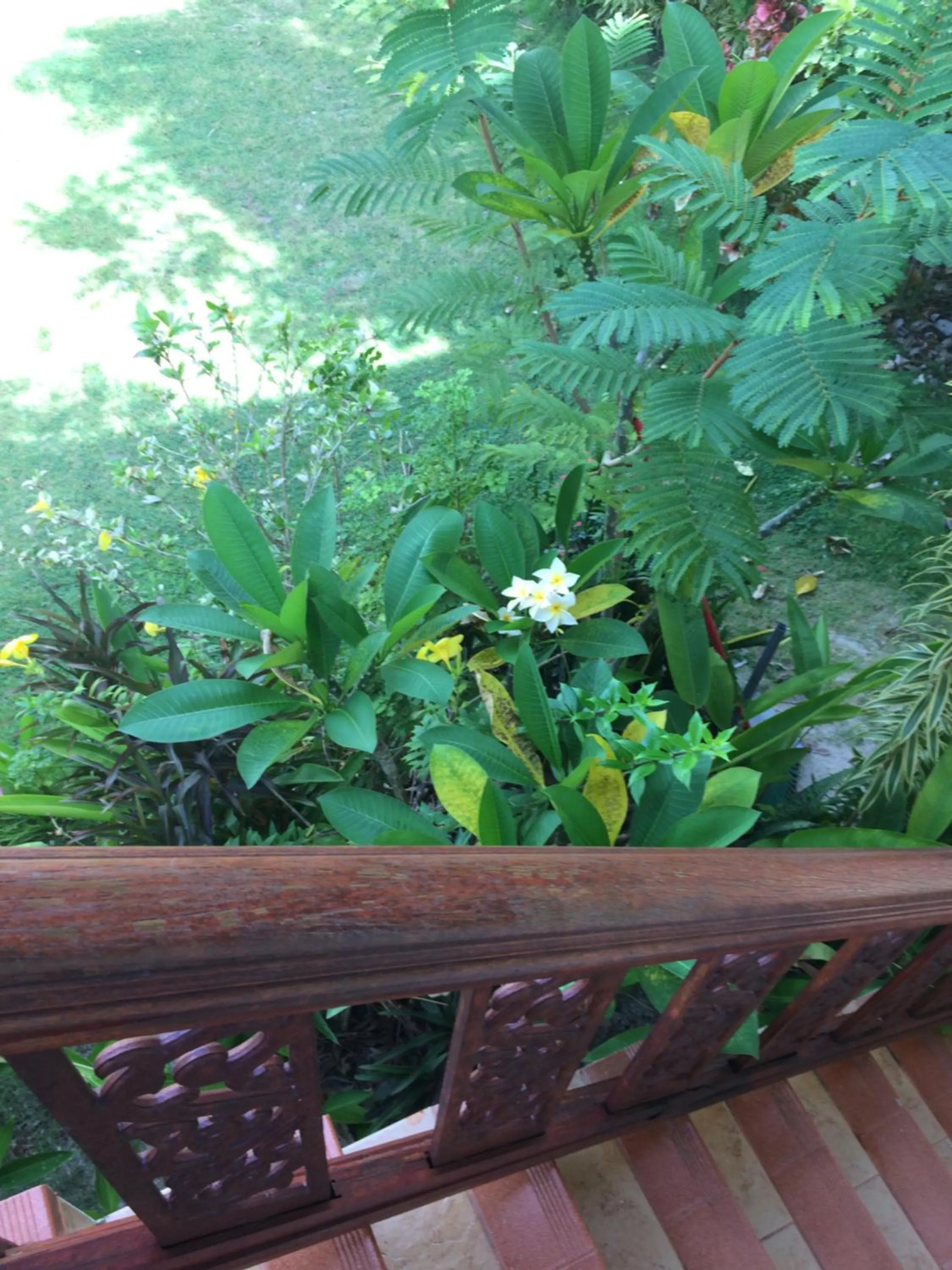 Tropicana Khophagan Resort Hotel