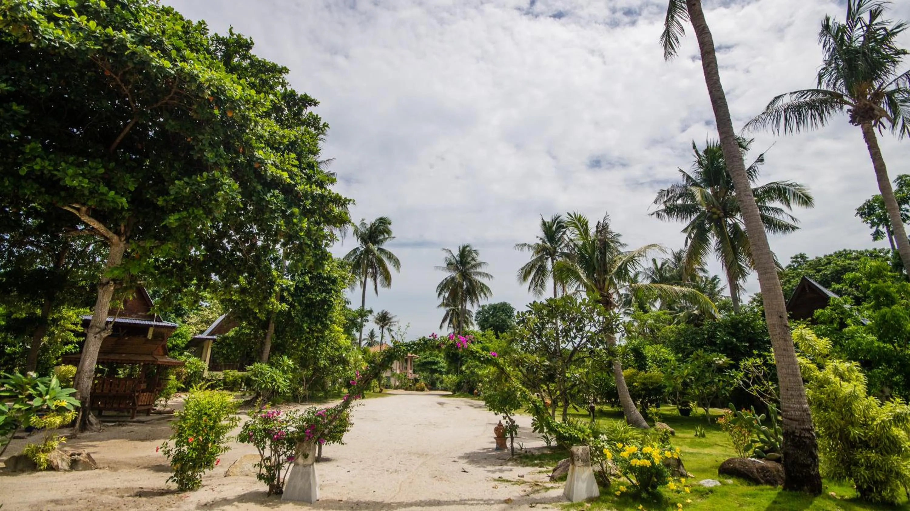 Natural landscape in Tropicana Khophagan Resort Hotel