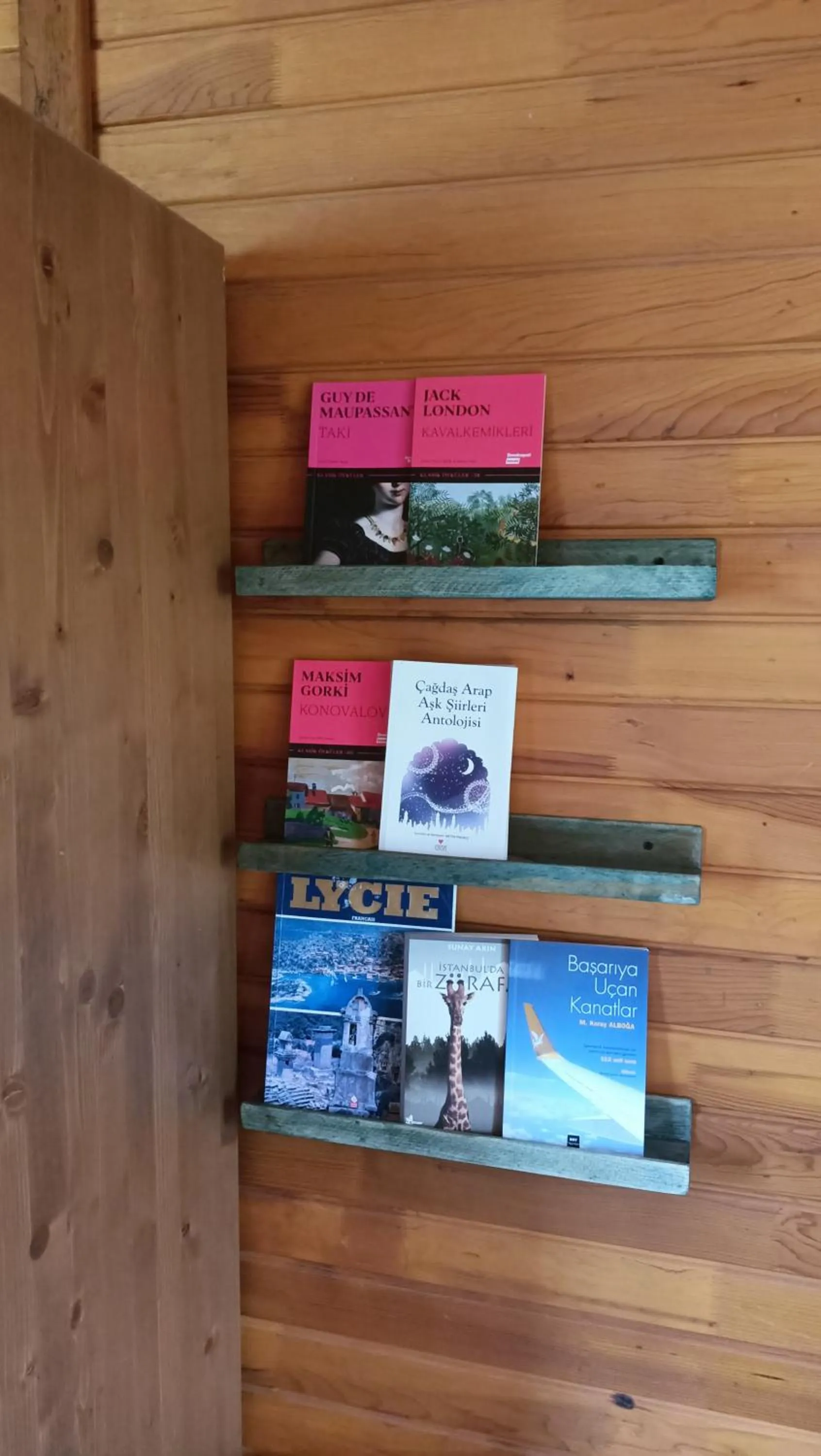 Library in Lycia Nature House