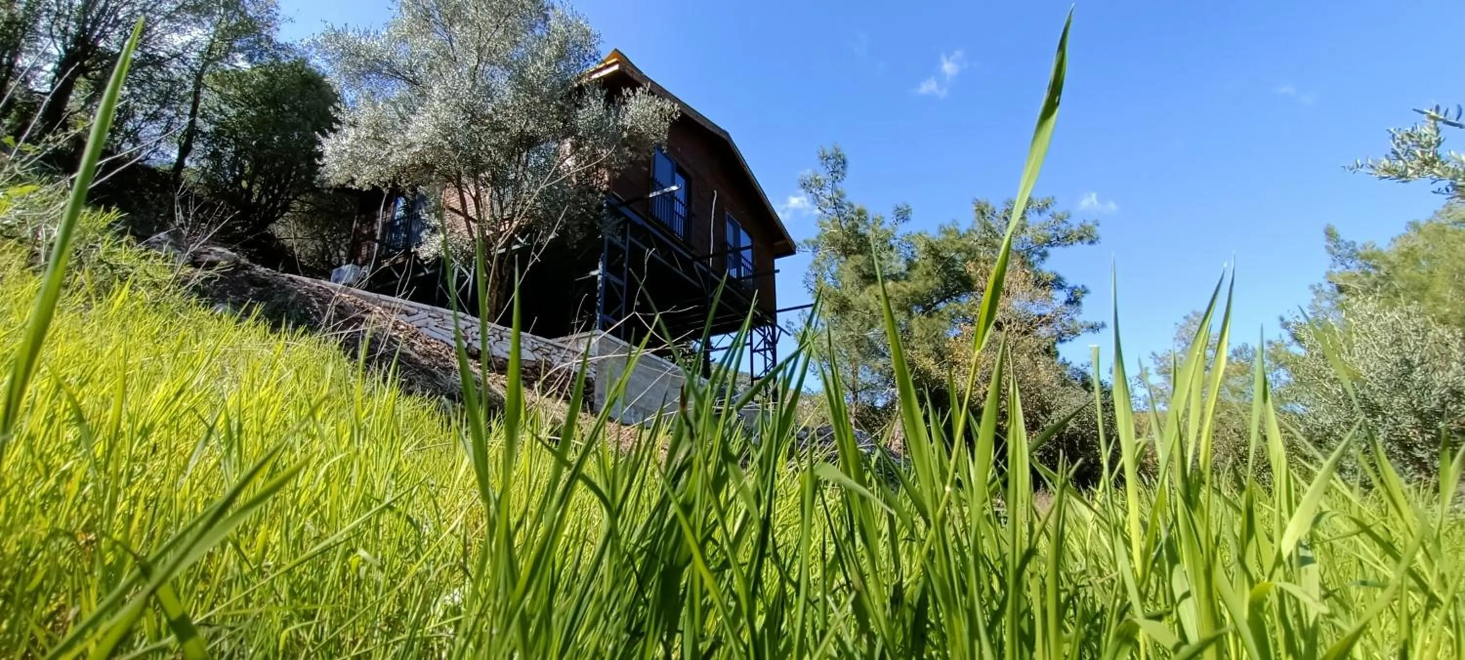 View (from property/room) in Lycia Nature House