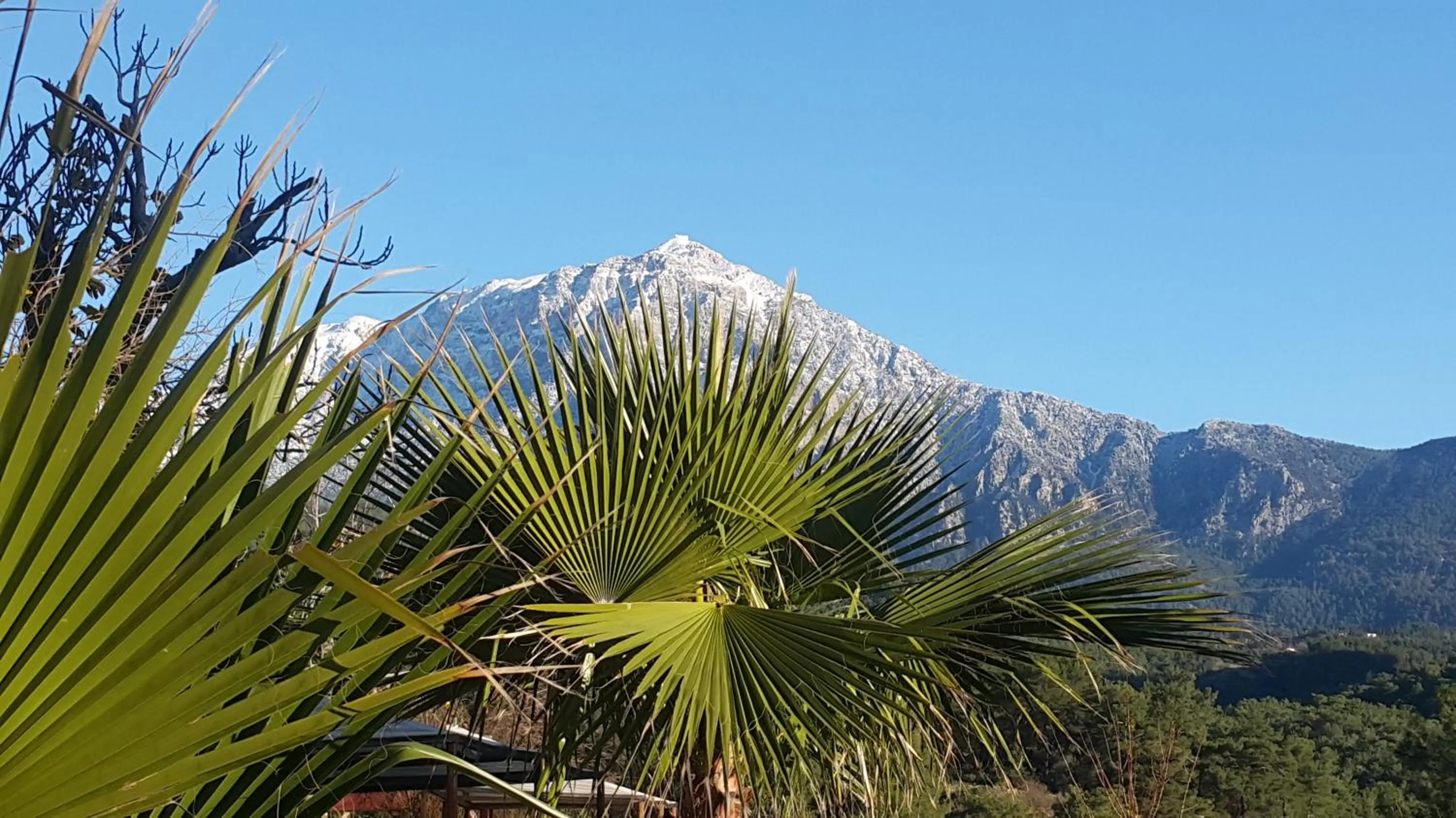 Mountain view in Lycia Nature House