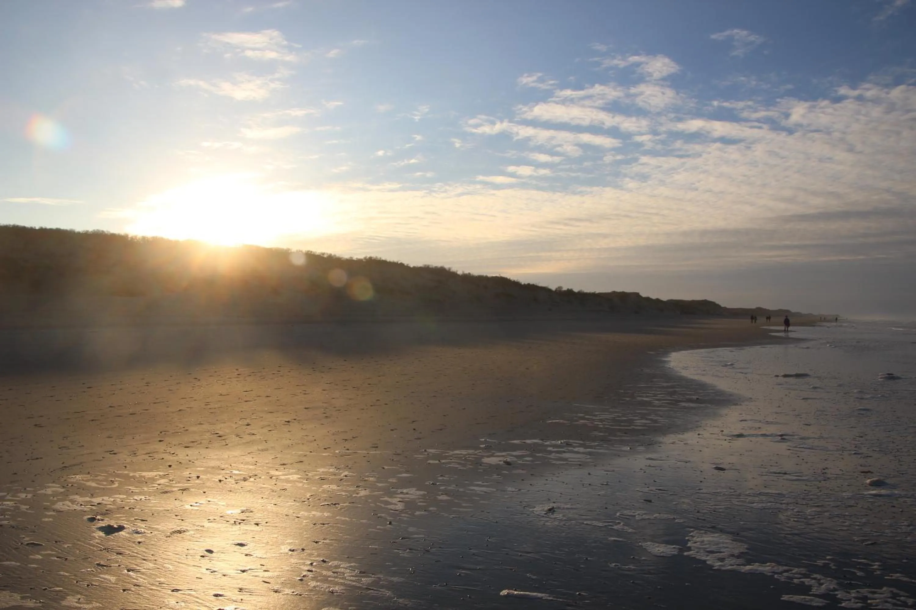 Beach in Deichhotel Rose