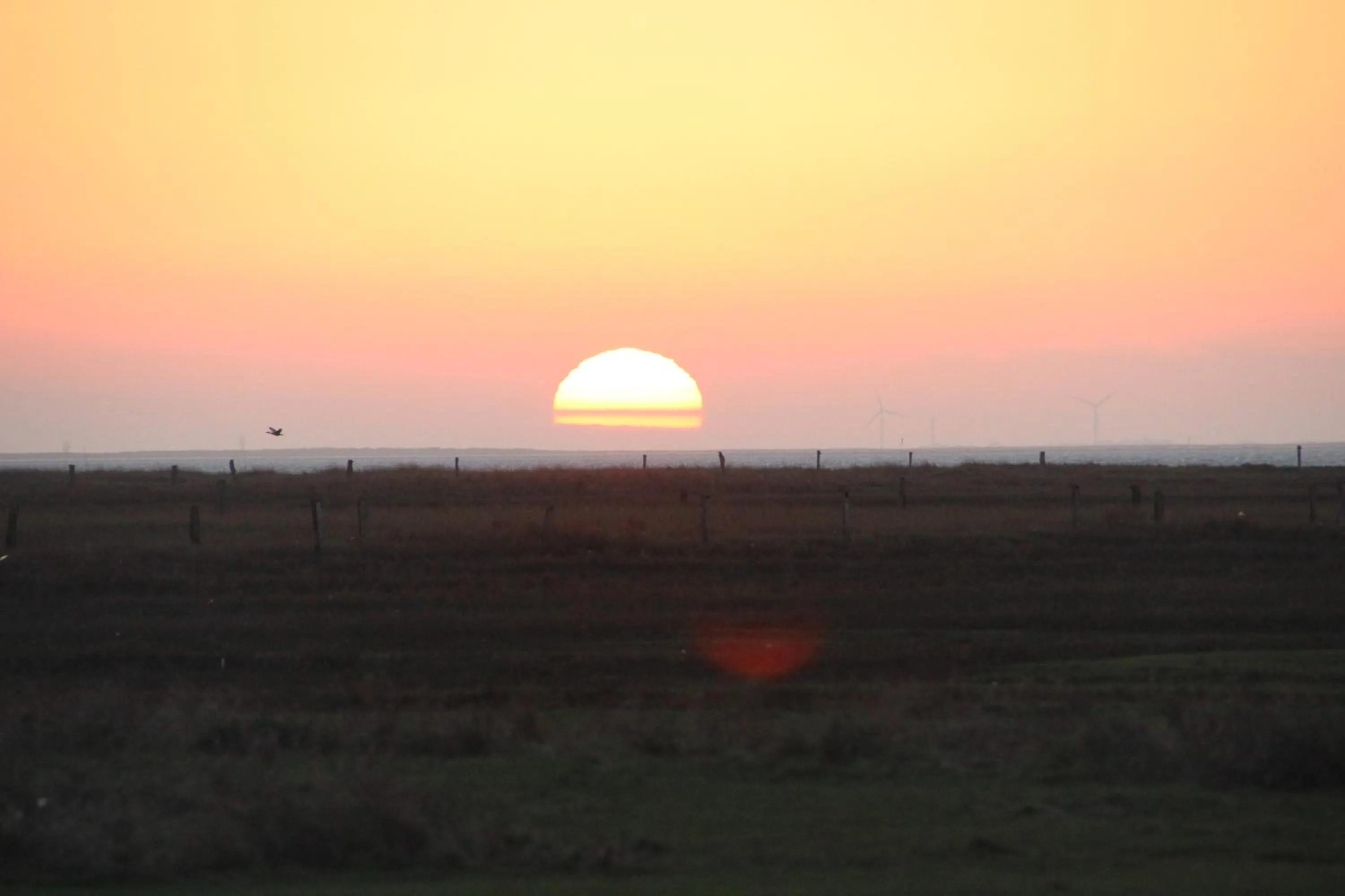 Beach in Deichhotel Rose