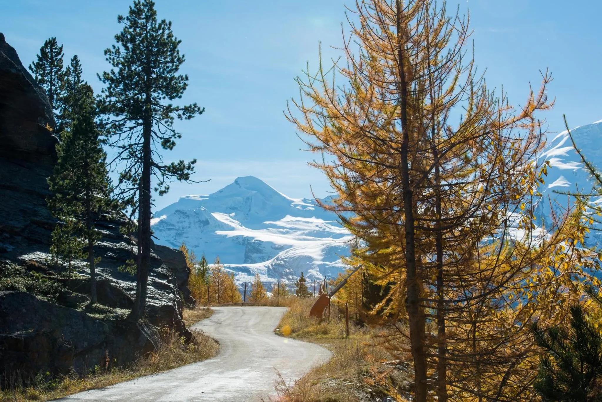 Loftsuite Hotel Saas