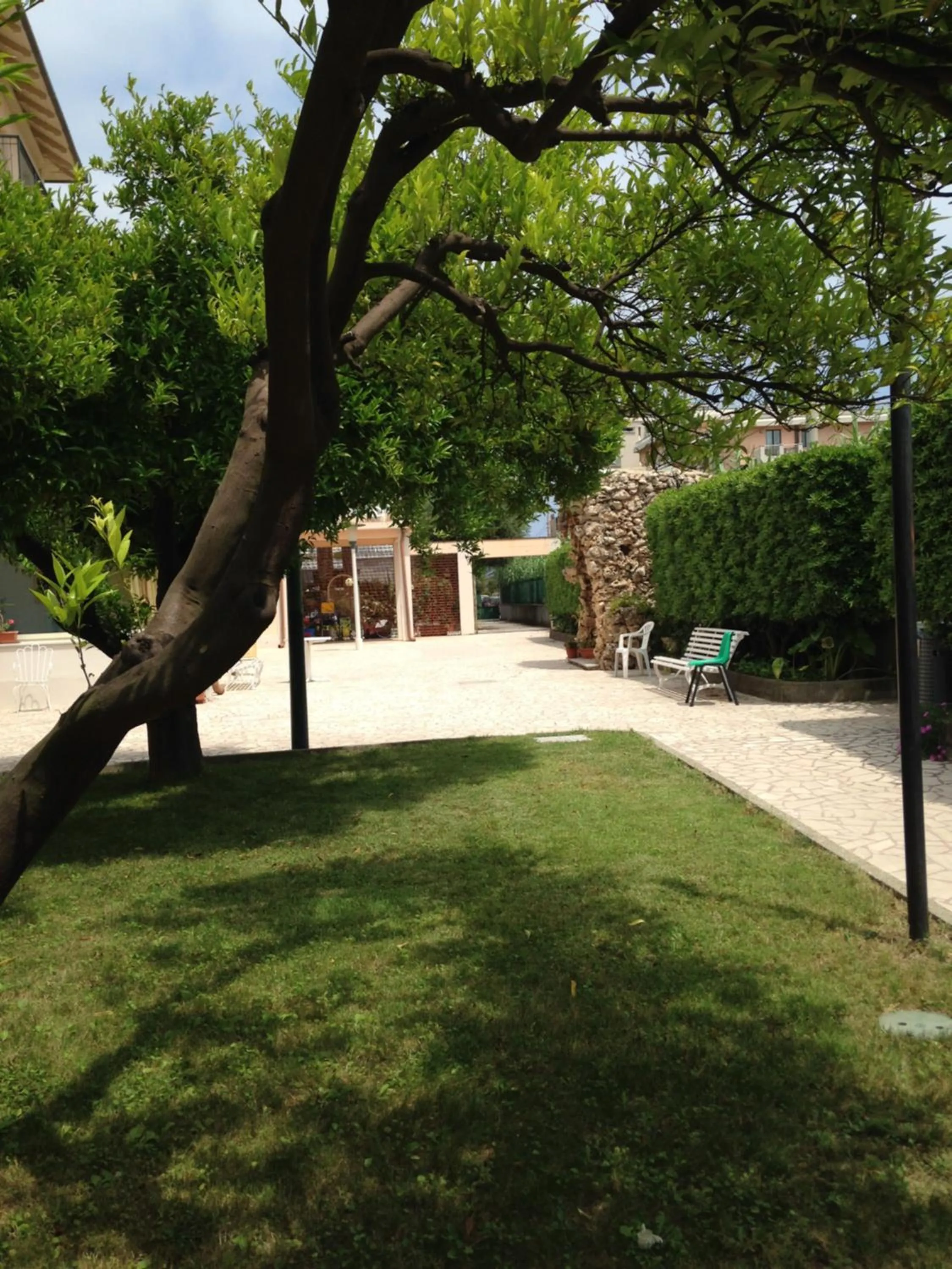 Garden in Hotel Villa Paolina
