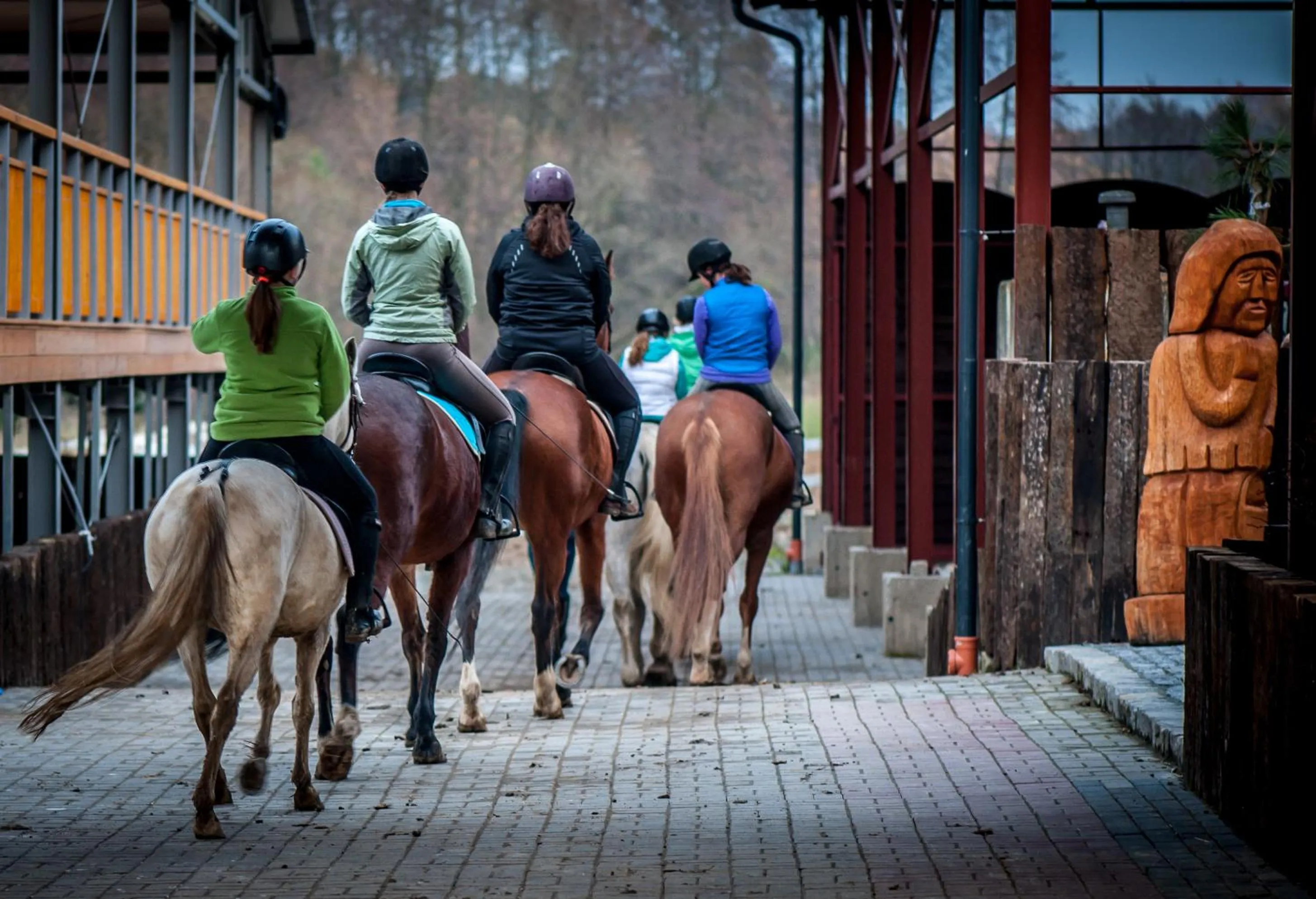 Horse-riding in Akademia Kuraszków