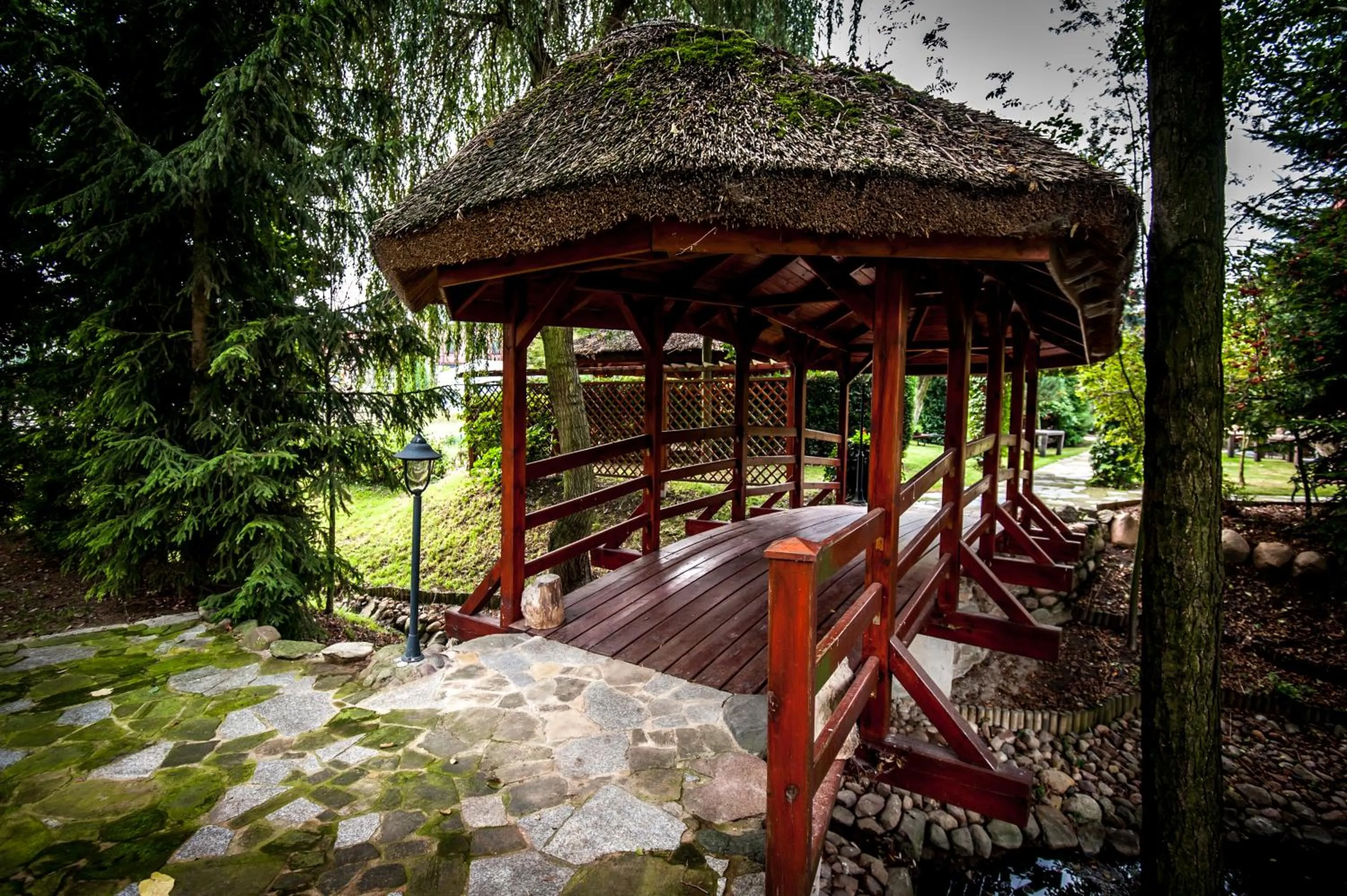 Activities in Akademia Kuraszków