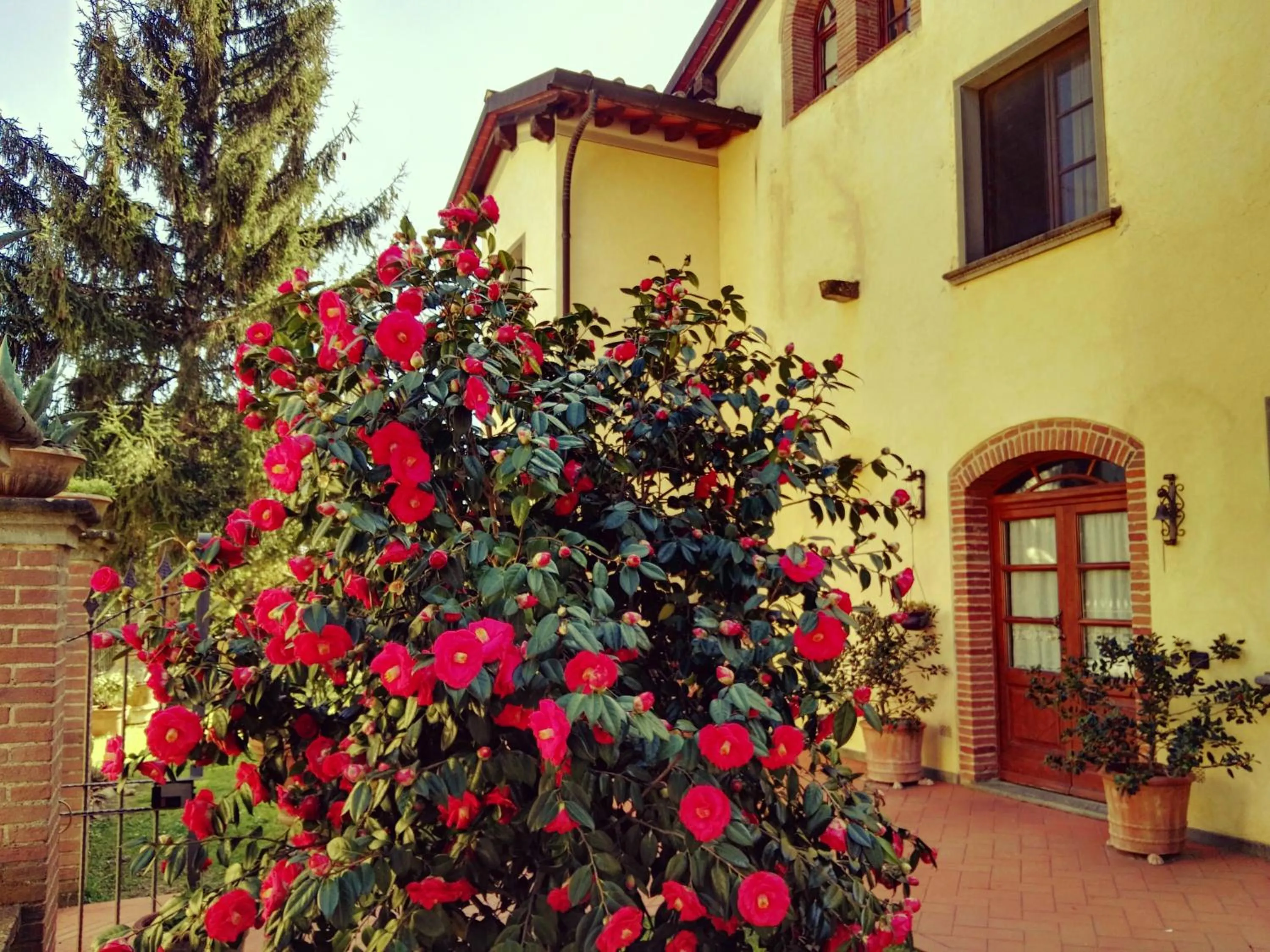 Facade/entrance in Agriturismo Il Piastrino